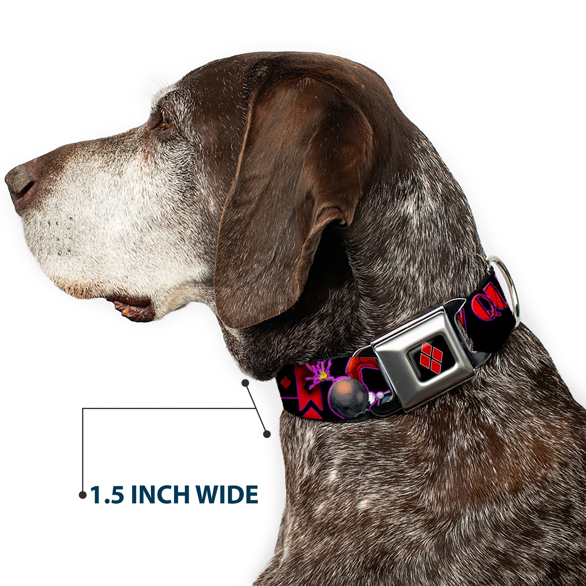 Harley Quinn Diamond Full Color Black Red Seatbelt Buckle Collar - HARLEY QUINN Bomb Poses/Suits Black/Purple/Red
