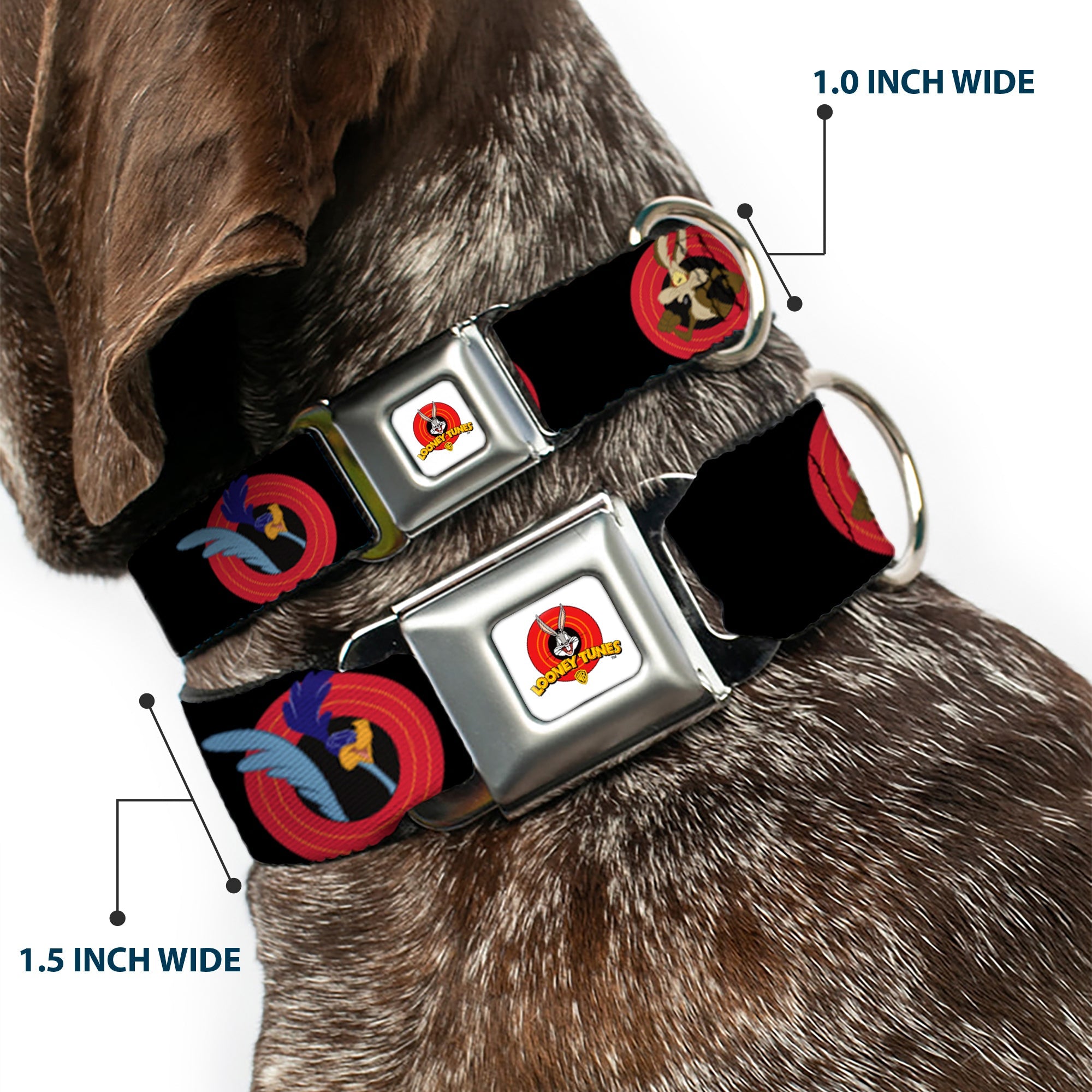 Looney Tunes Logo Full Color White Seatbelt Buckle Collar - Looney Tunes Characters Bullseye Pose Black