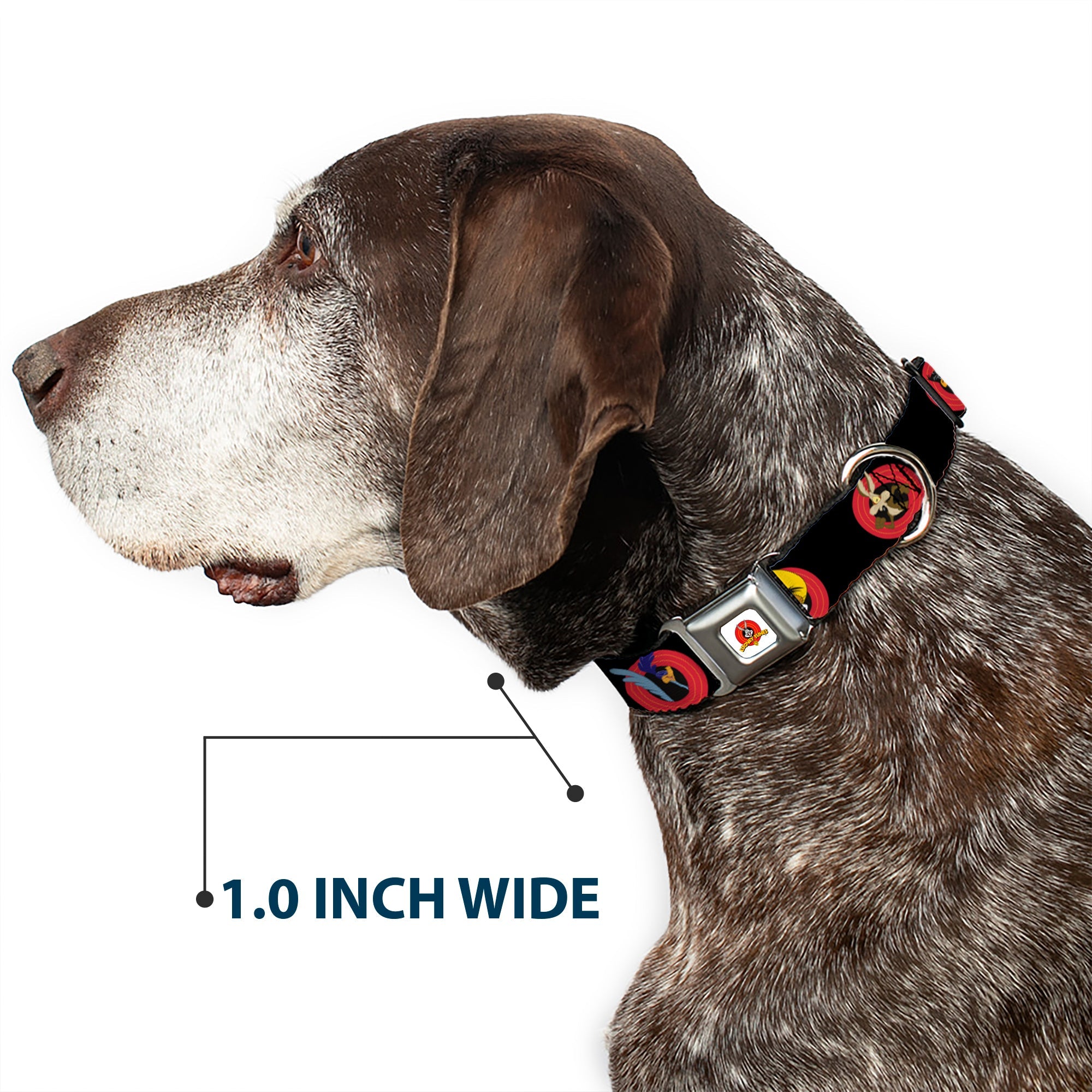 Looney Tunes Logo Full Color White Seatbelt Buckle Collar - Looney Tunes Characters Bullseye Pose Black