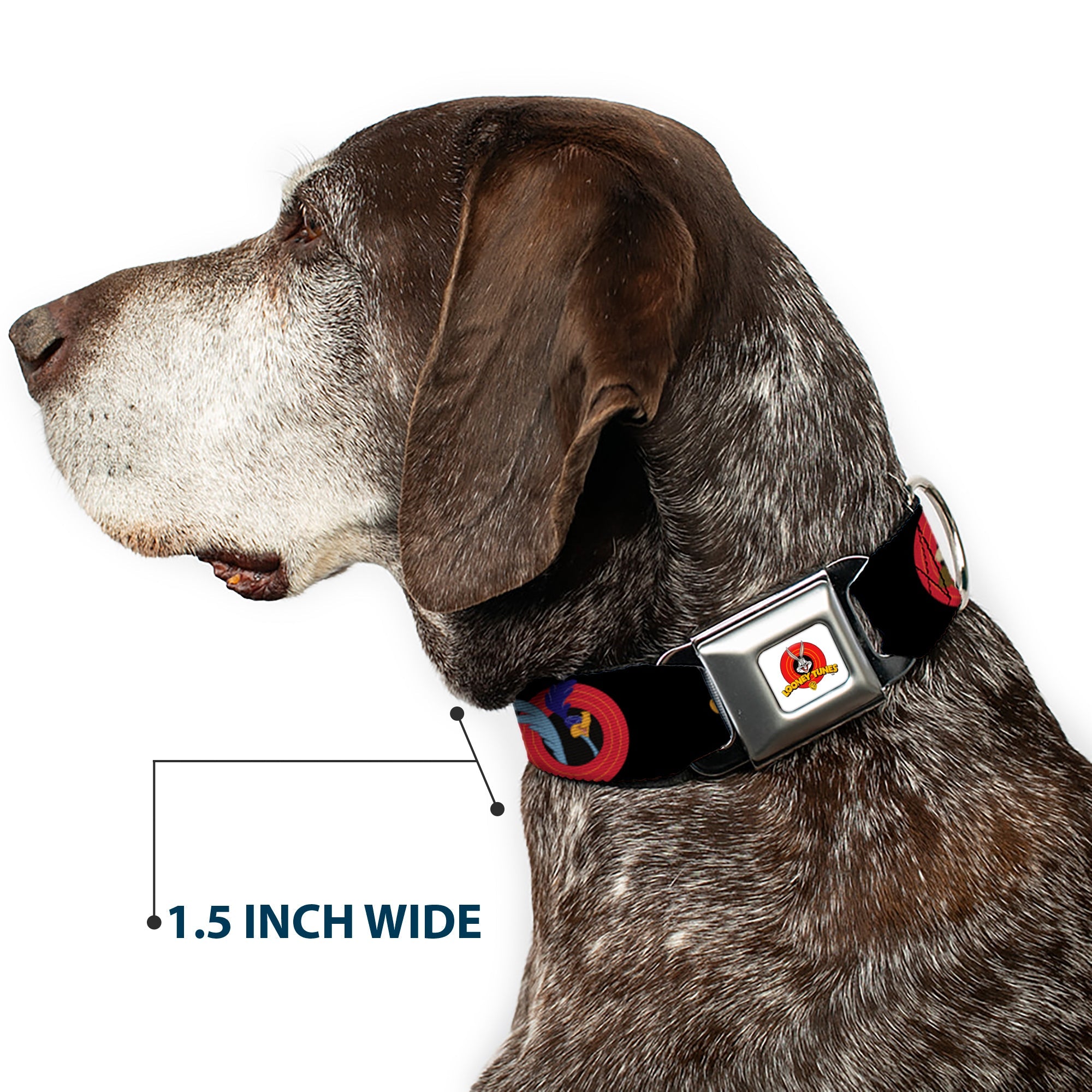 Looney Tunes Logo Full Color White Seatbelt Buckle Collar - Looney Tunes Characters Bullseye Pose Black