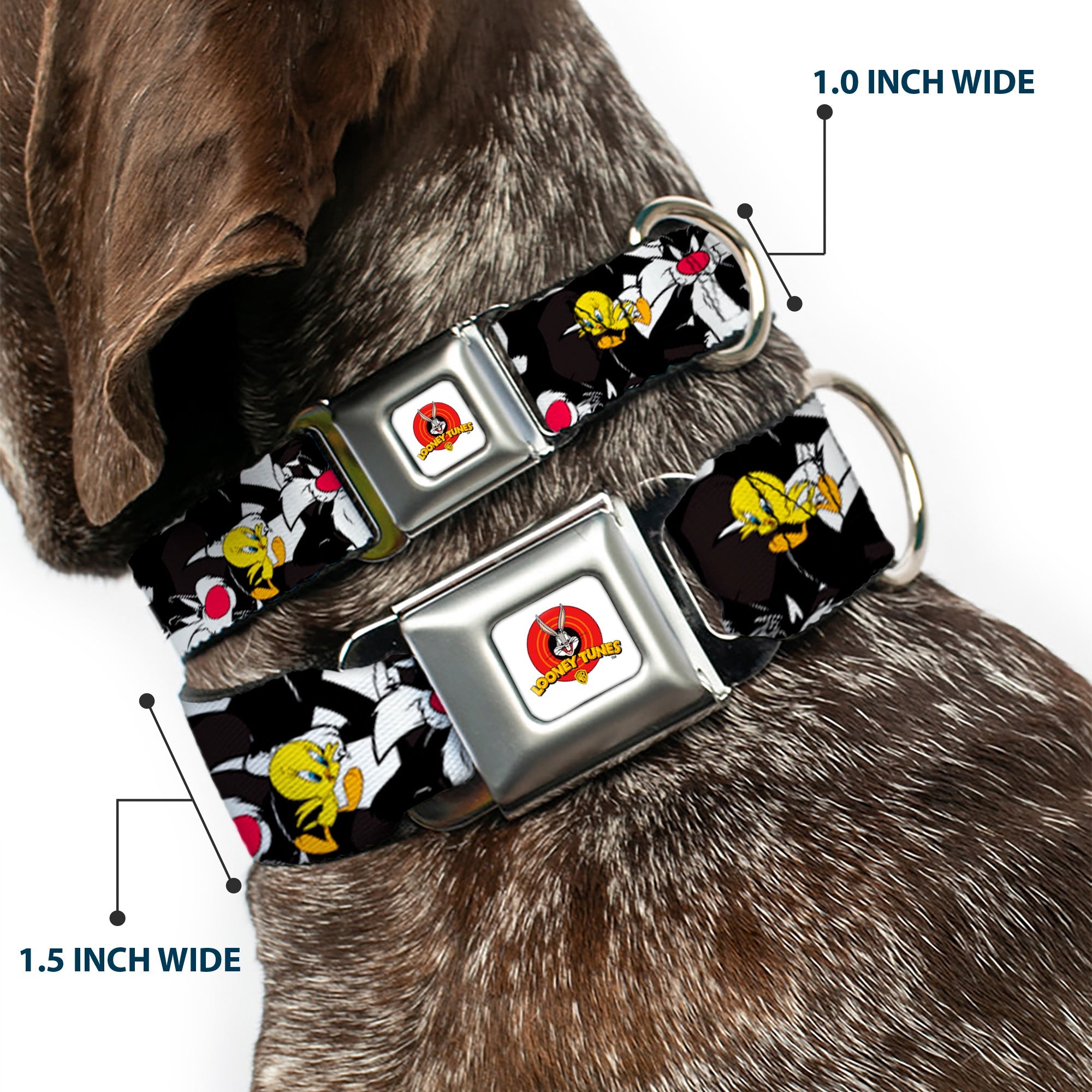 Looney Tunes Logo White Seatbelt Buckle Collar - Sylvester and Tweety Poses Scattered Charcoal