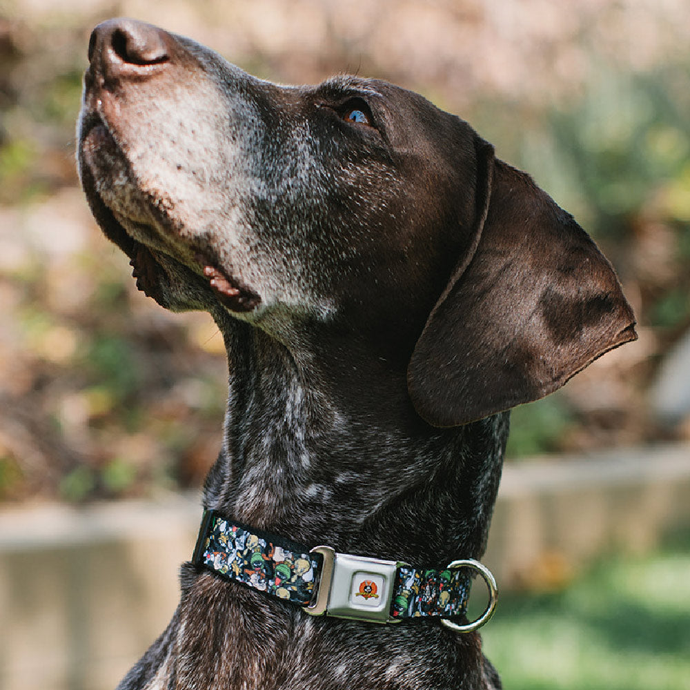 Looney Tunes Logo White Seatbelt Buckle Collar - Looney Tunes 6-Character Stacked Collage4