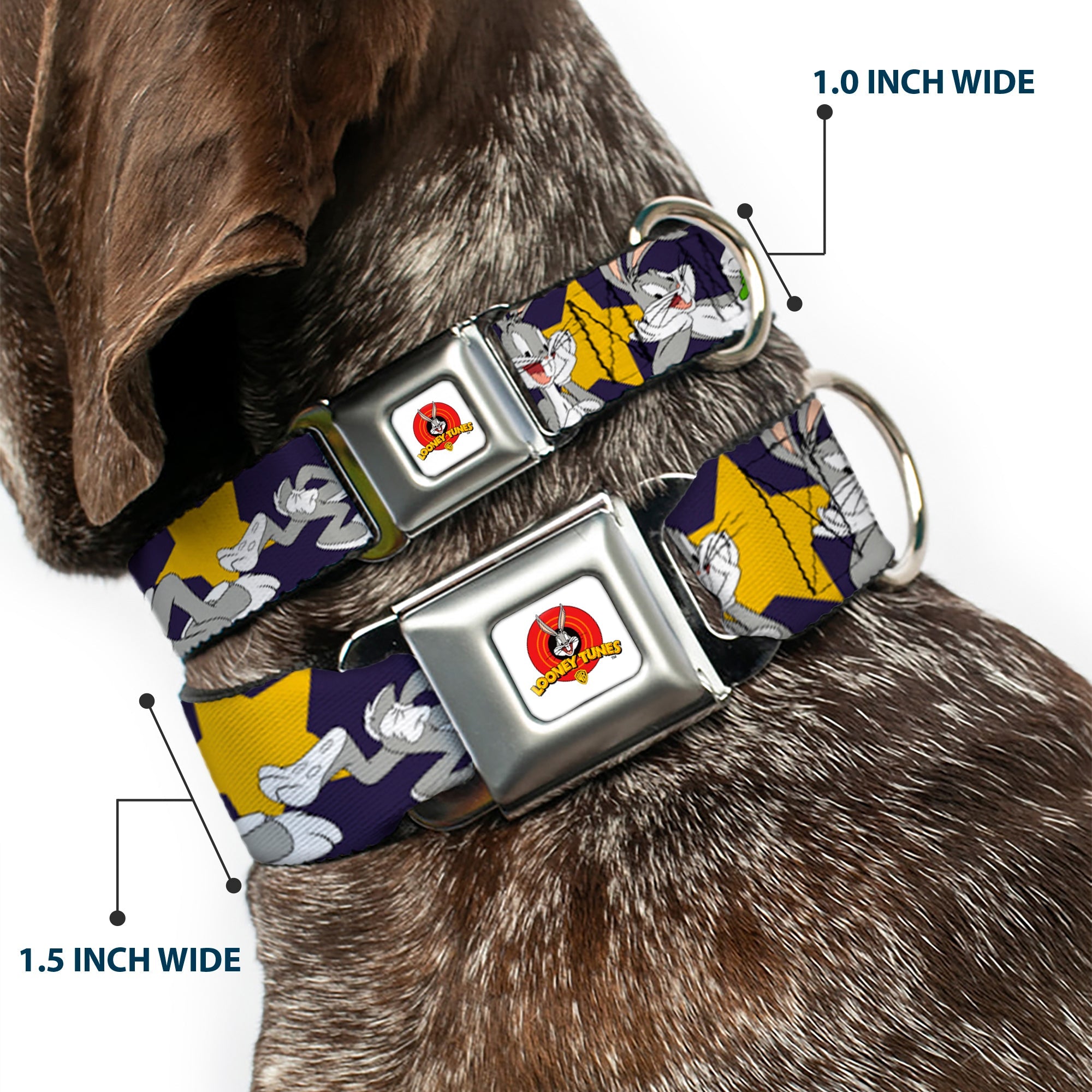 Looney Tunes Logo Full Color White Seatbelt Buckle Collar - Bugs Bunny Poses/Stars Navy