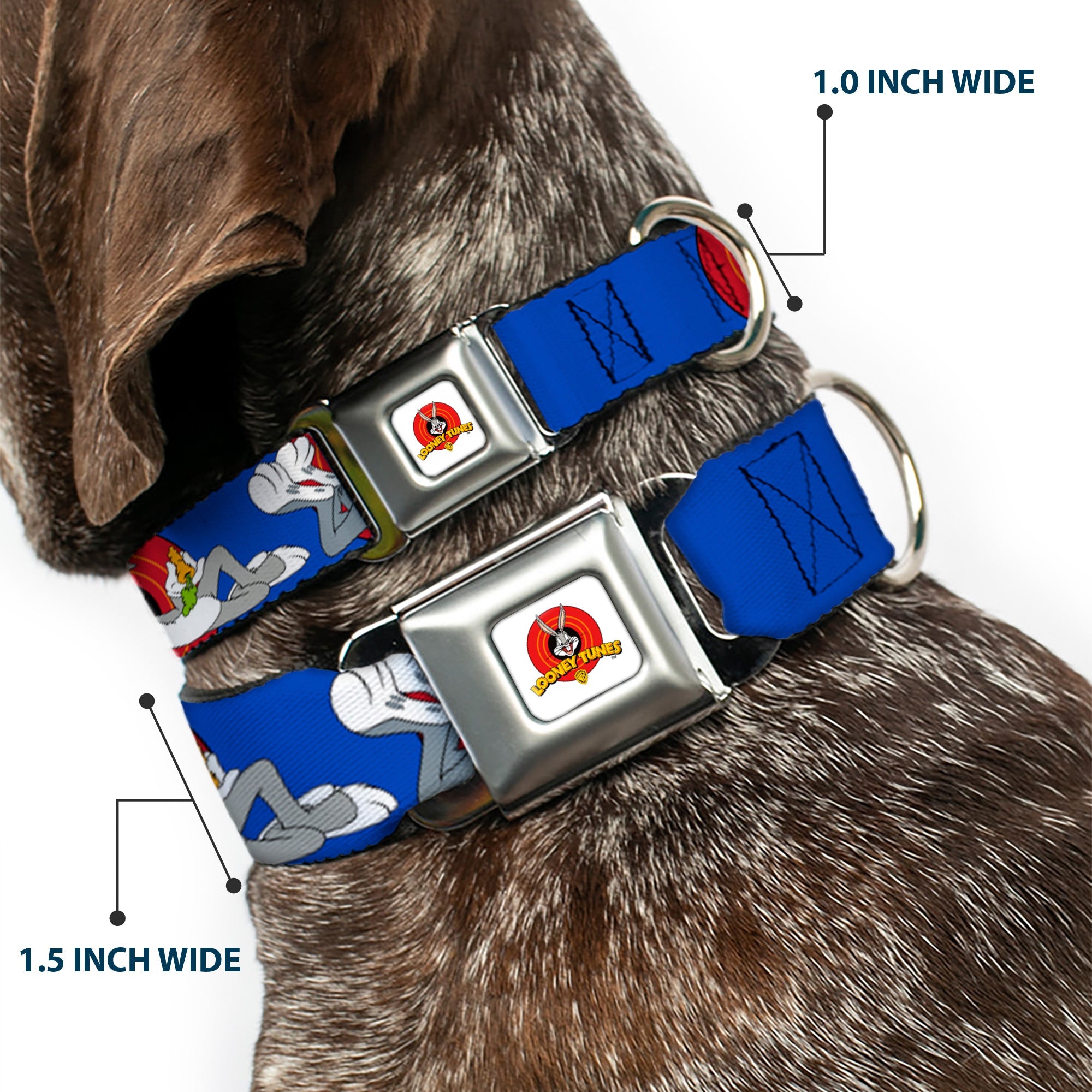 Looney Tunes Logo Full Color White Seatbelt Buckle Collar - BUGS BUNNY w/Bugs Poses Blue