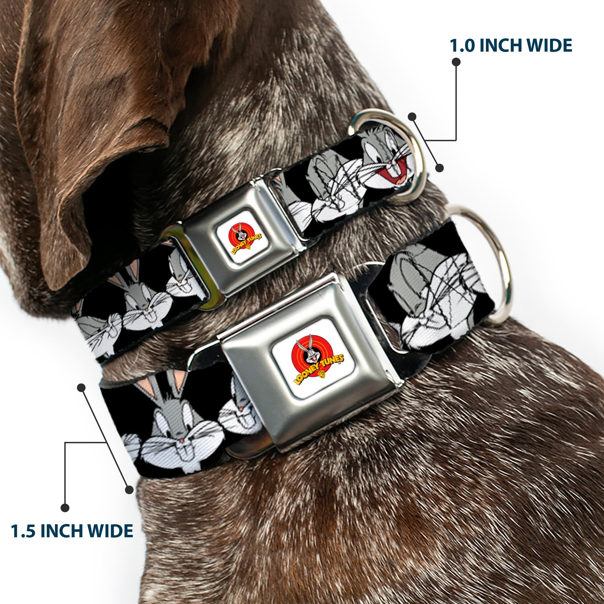 Looney Tunes Logo Full Color White Seatbelt Buckle Collar - Bugs Bunny CLOSE-UP Expressions Black