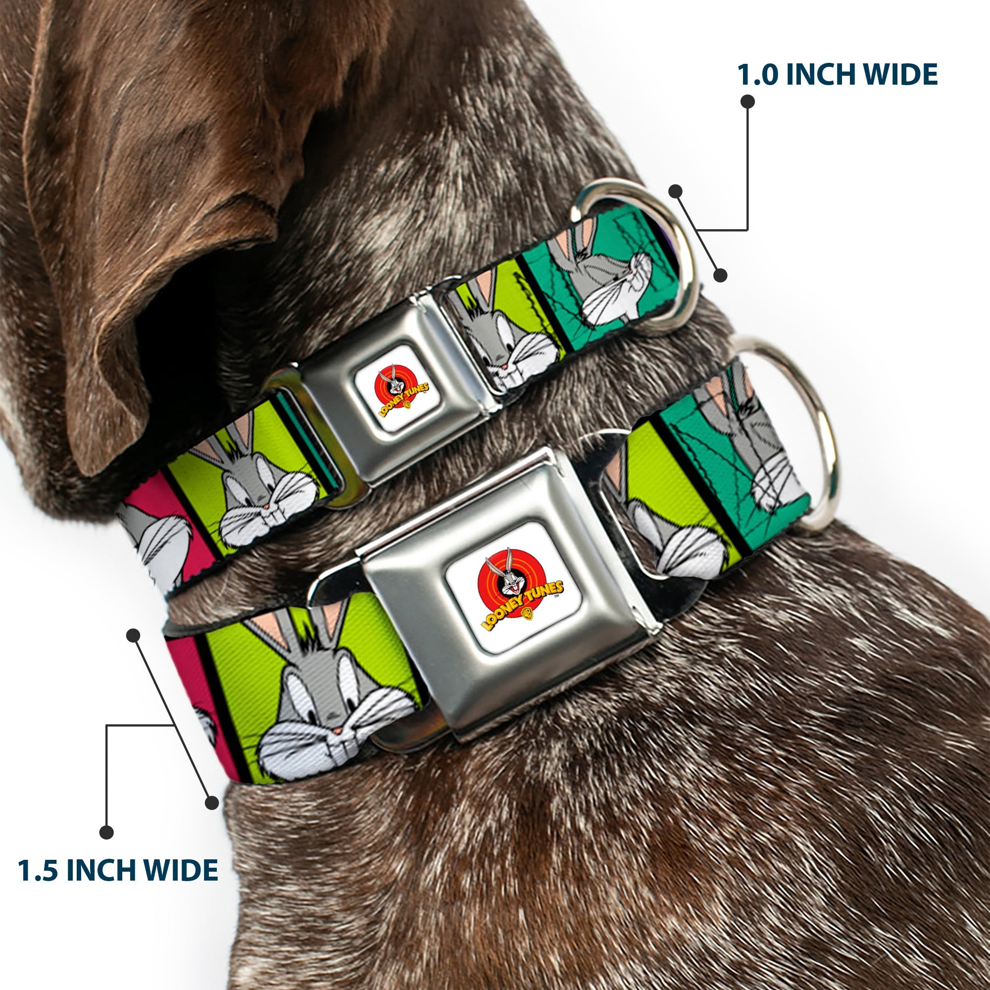 Looney Tunes Logo Full Color White Seatbelt Buckle Collar - Bugs Bunny Expression Blocks Multi Color