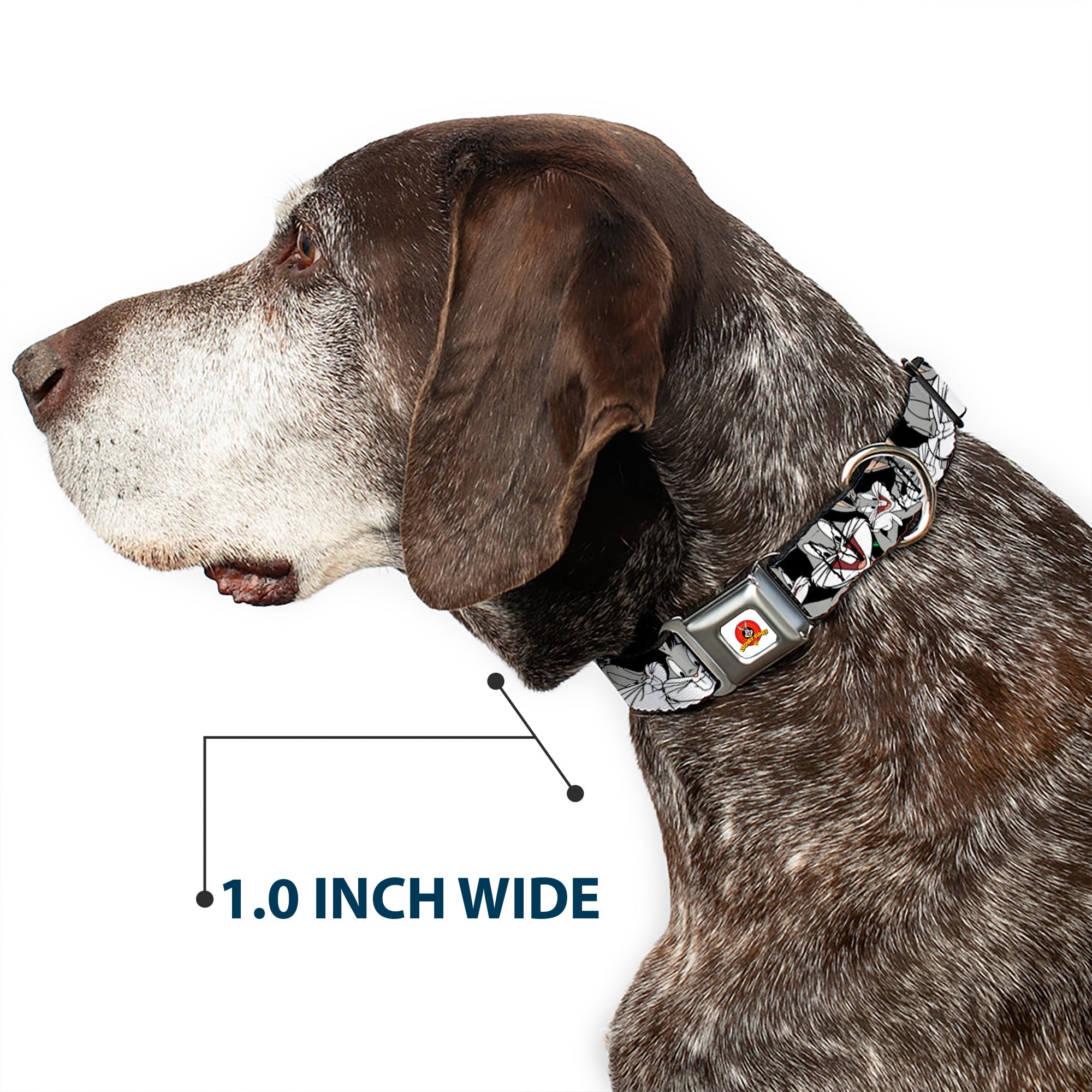 Looney Tunes Logo Full Color White Seatbelt Buckle Collar - Bugs Bunny CLOSE-UP Poses Black