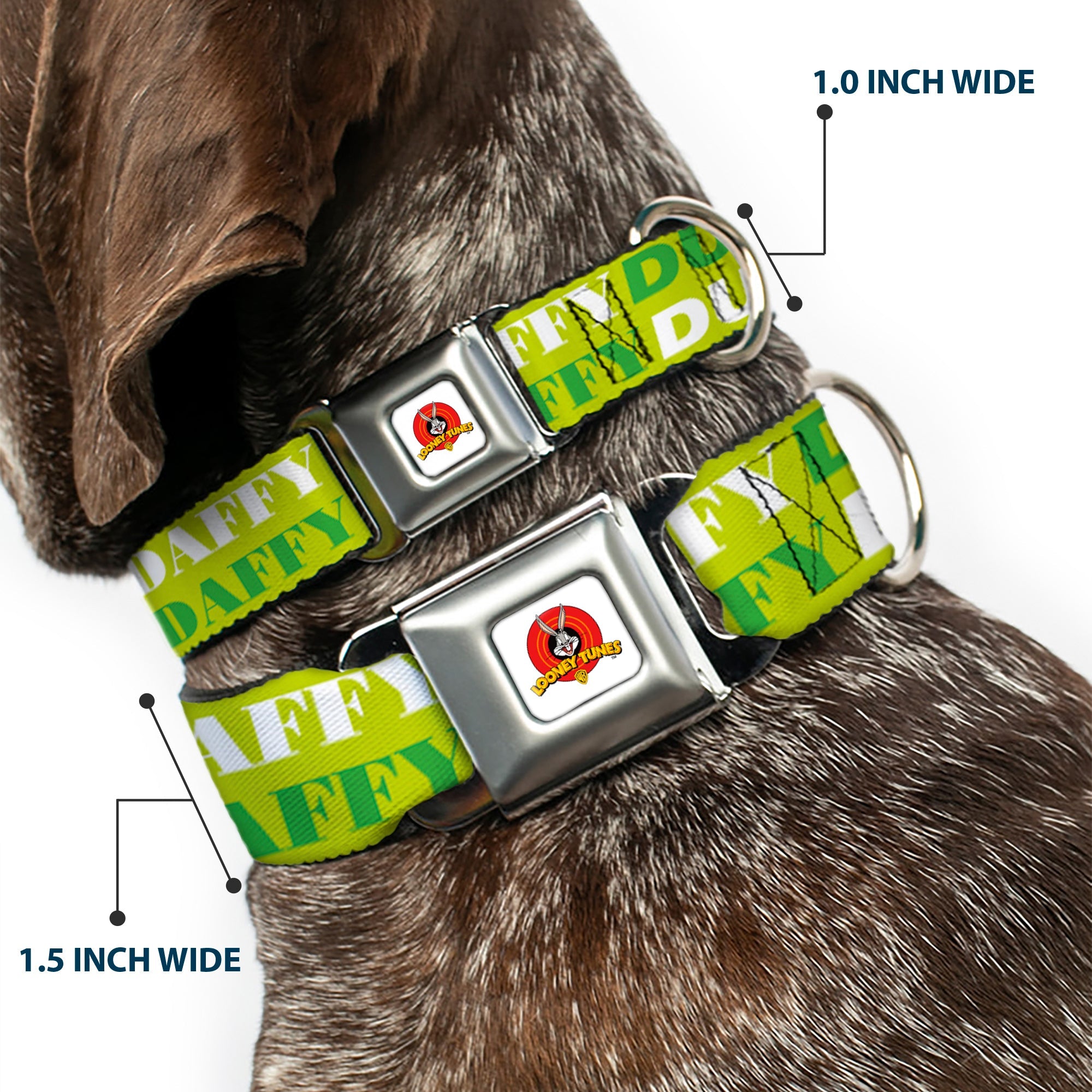 Looney Tunes Logo Full Color White Seatbelt Buckle Collar - DAFFY DUCK w/Face CLOSE-UP Greens