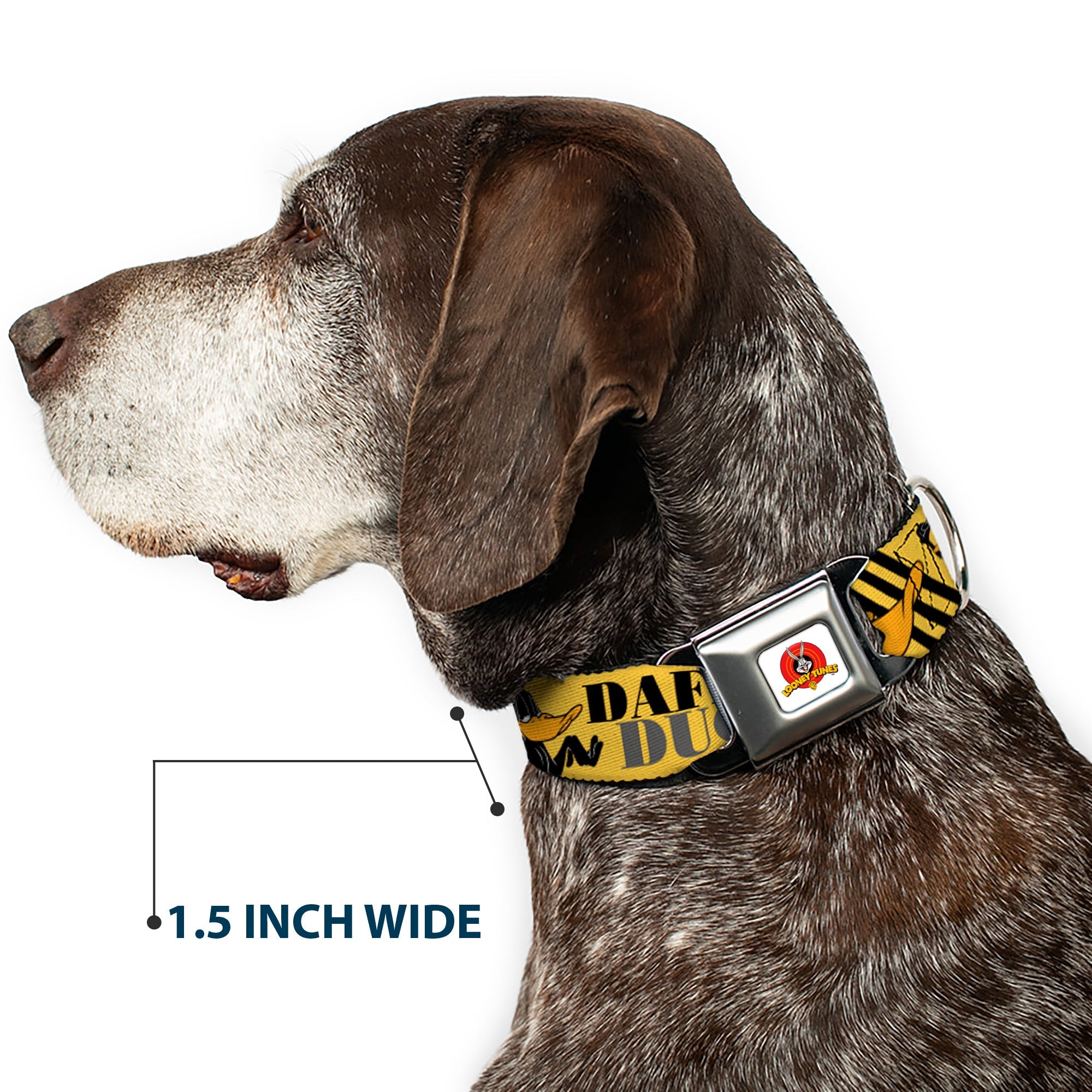 Looney Tunes Logo Full Color White Seatbelt Buckle Collar - DAFFY DUCK w/Poses Yellow/Black