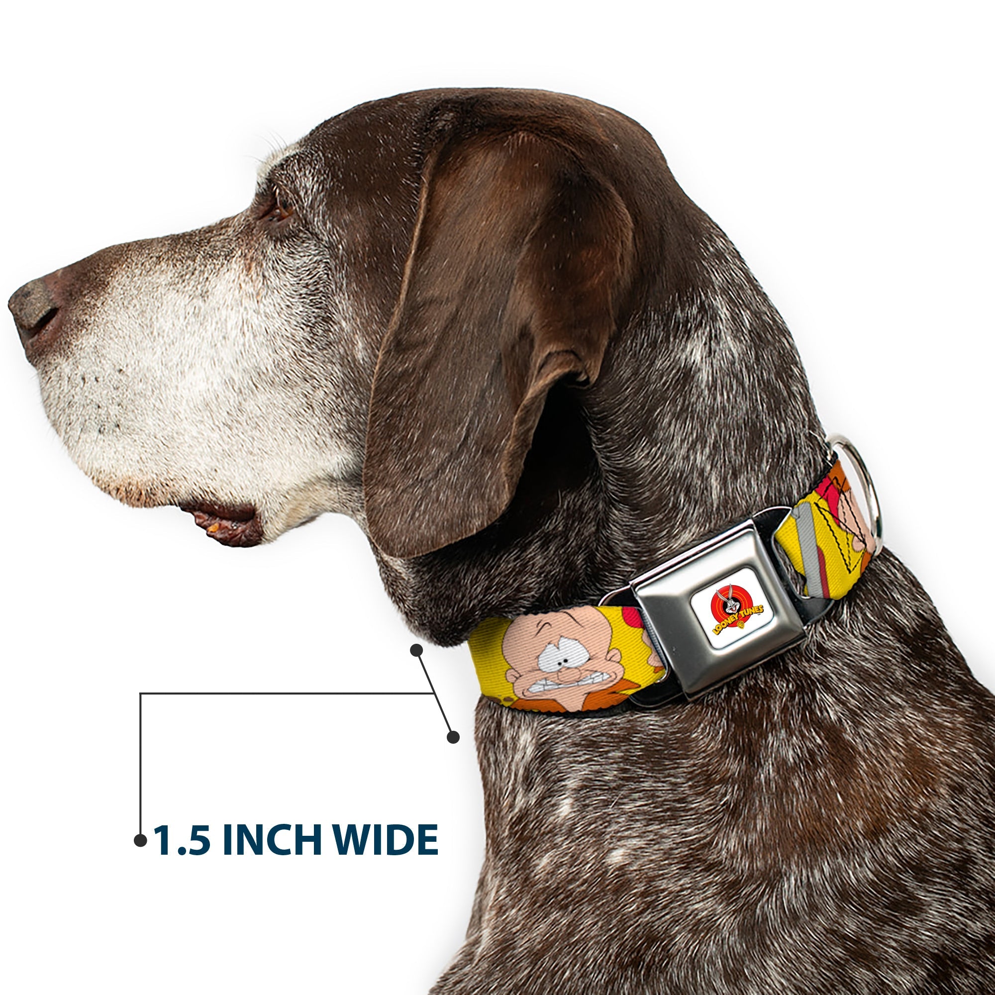Looney Tunes Logo Full Color White Seatbelt Buckle Collar - Elmer Fudd Expressions Yellow