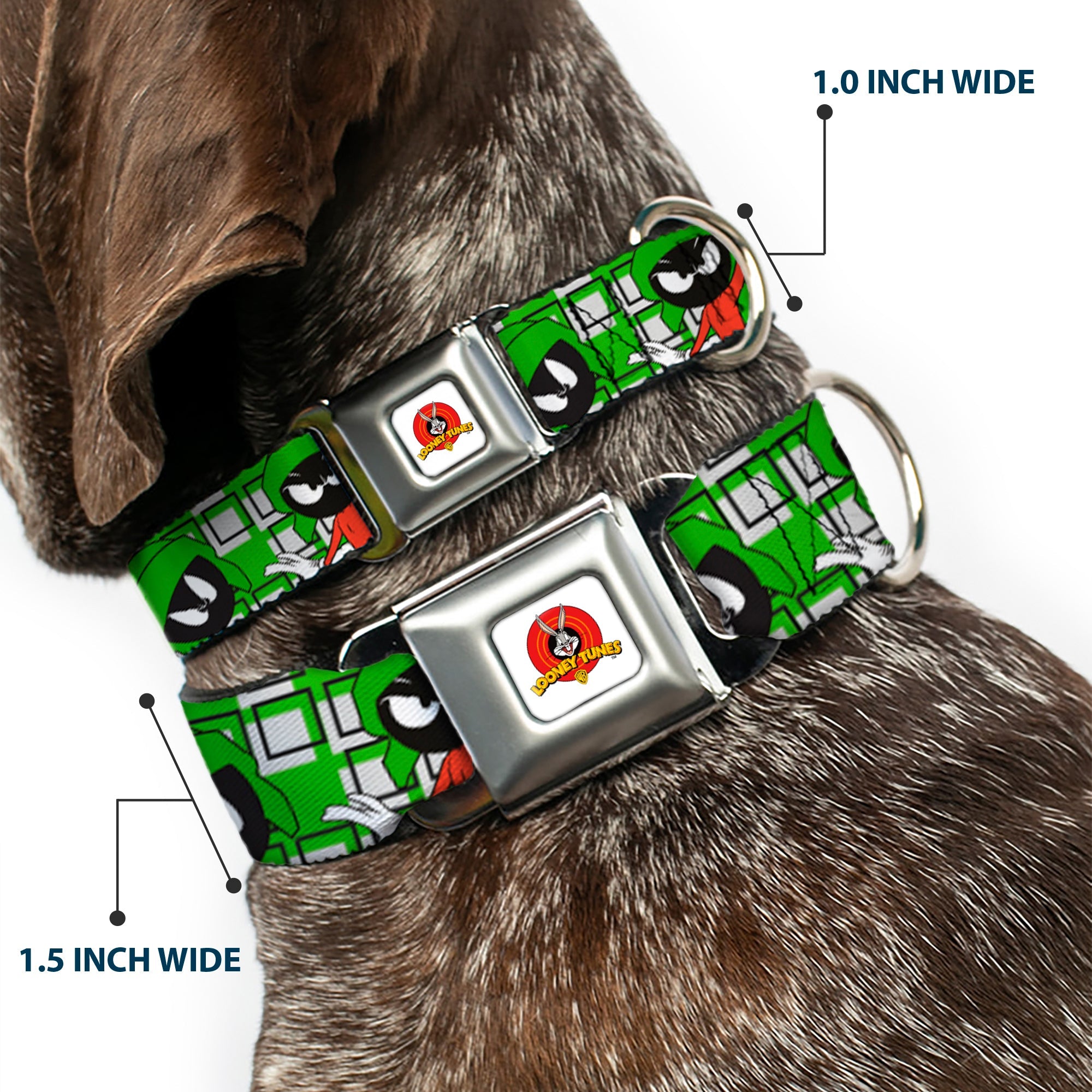 Looney Tunes Logo Full Color White Seatbelt Buckle Collar - MARVIN THE MARTIAN w/Poses White/Green