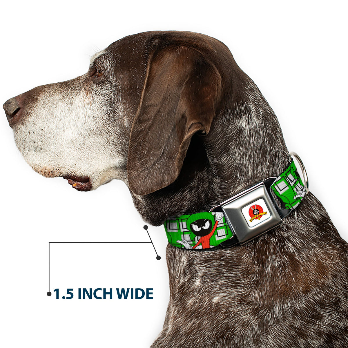 Looney Tunes Logo Full Color White Seatbelt Buckle Collar - MARVIN THE MARTIAN w/Poses White/Green