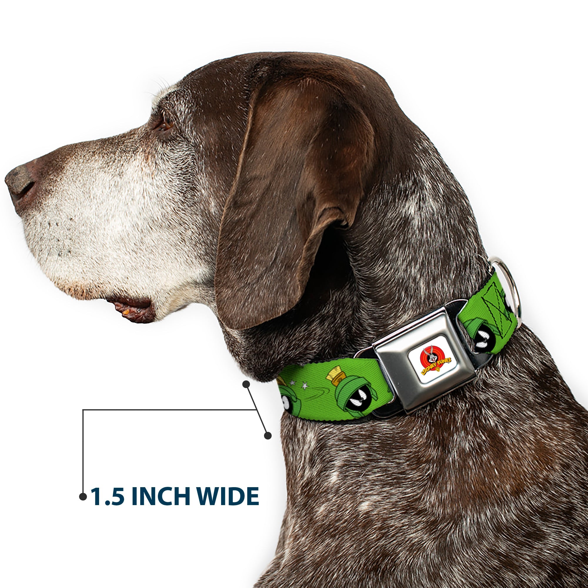 Looney Tunes Logo Full Color White Seatbelt Buckle Collar - MARVIN THE MARTIAN w/Poses/Expressions Green