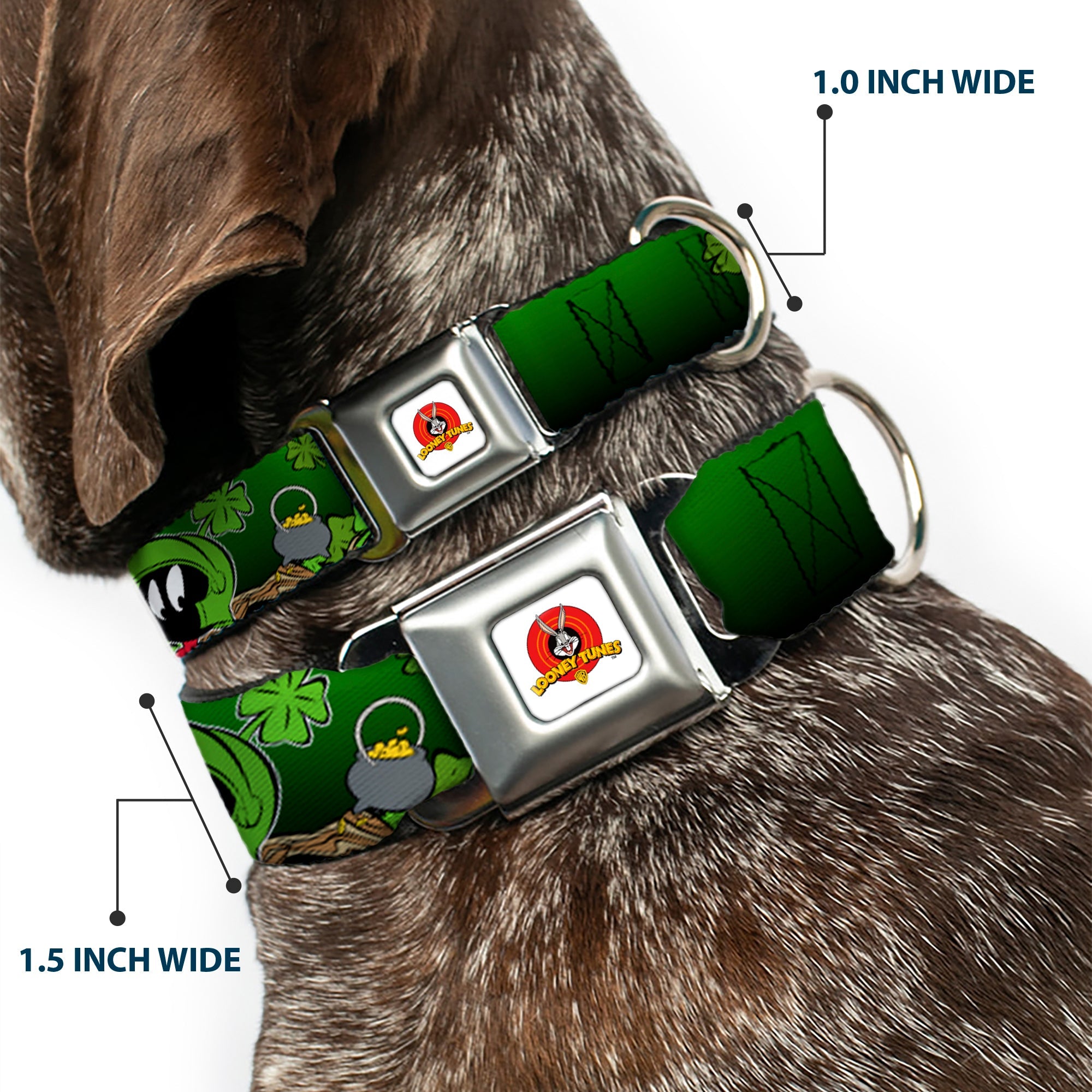 Looney Tunes Logo Full Color White Seatbelt Buckle Collar - Marvin the Martian & K-9 Poses/Clovers Greens
