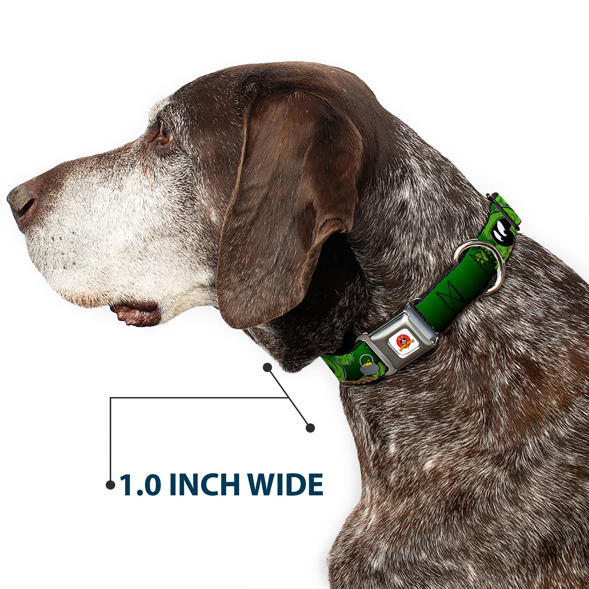 Looney Tunes Logo Full Color White Seatbelt Buckle Collar - Marvin the Martian & K-9 Poses/Clovers Greens
