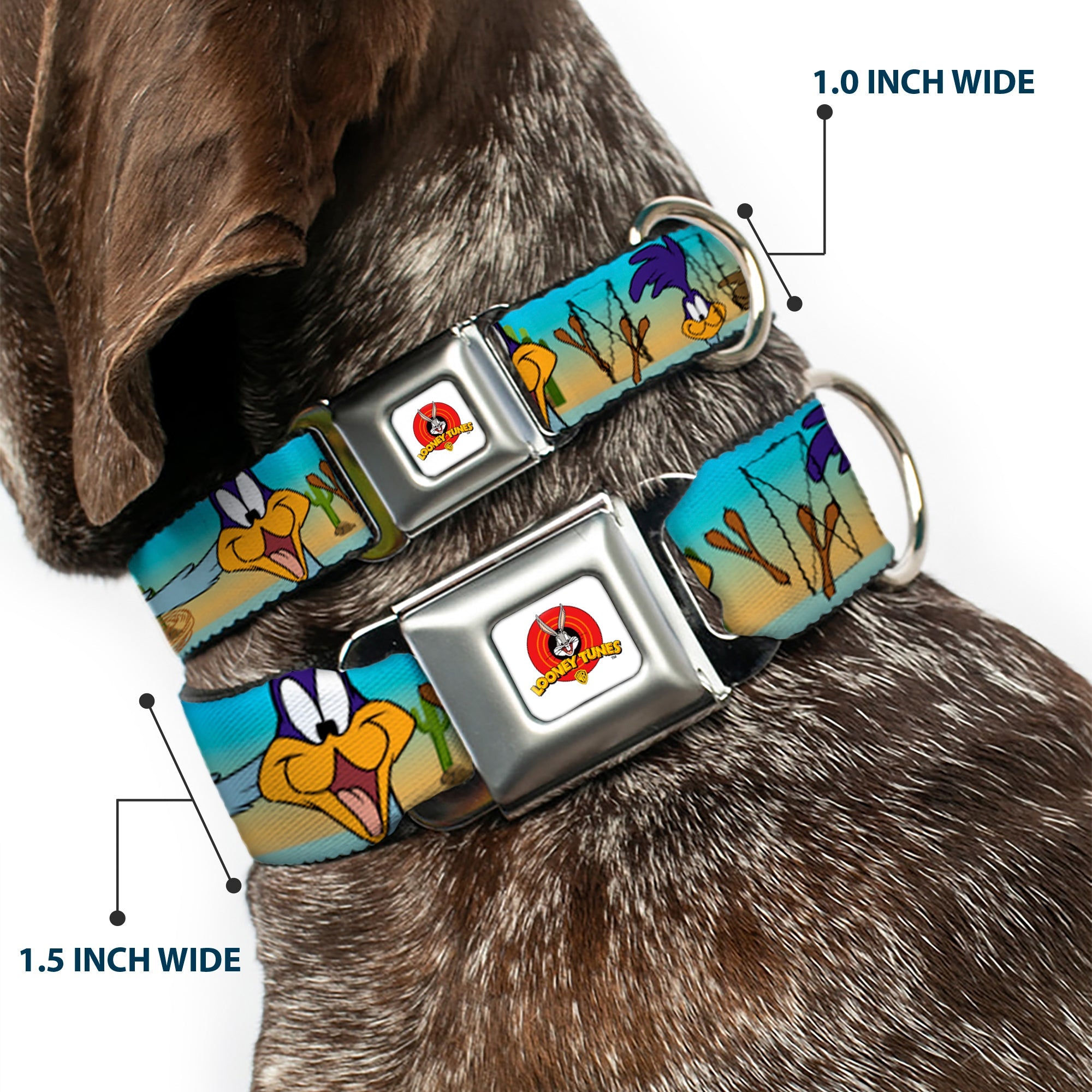 Looney Tunes Logo White Seatbelt Buckle Collar - Road Runner/Wile E. Coyote Scene1 Brown Fade