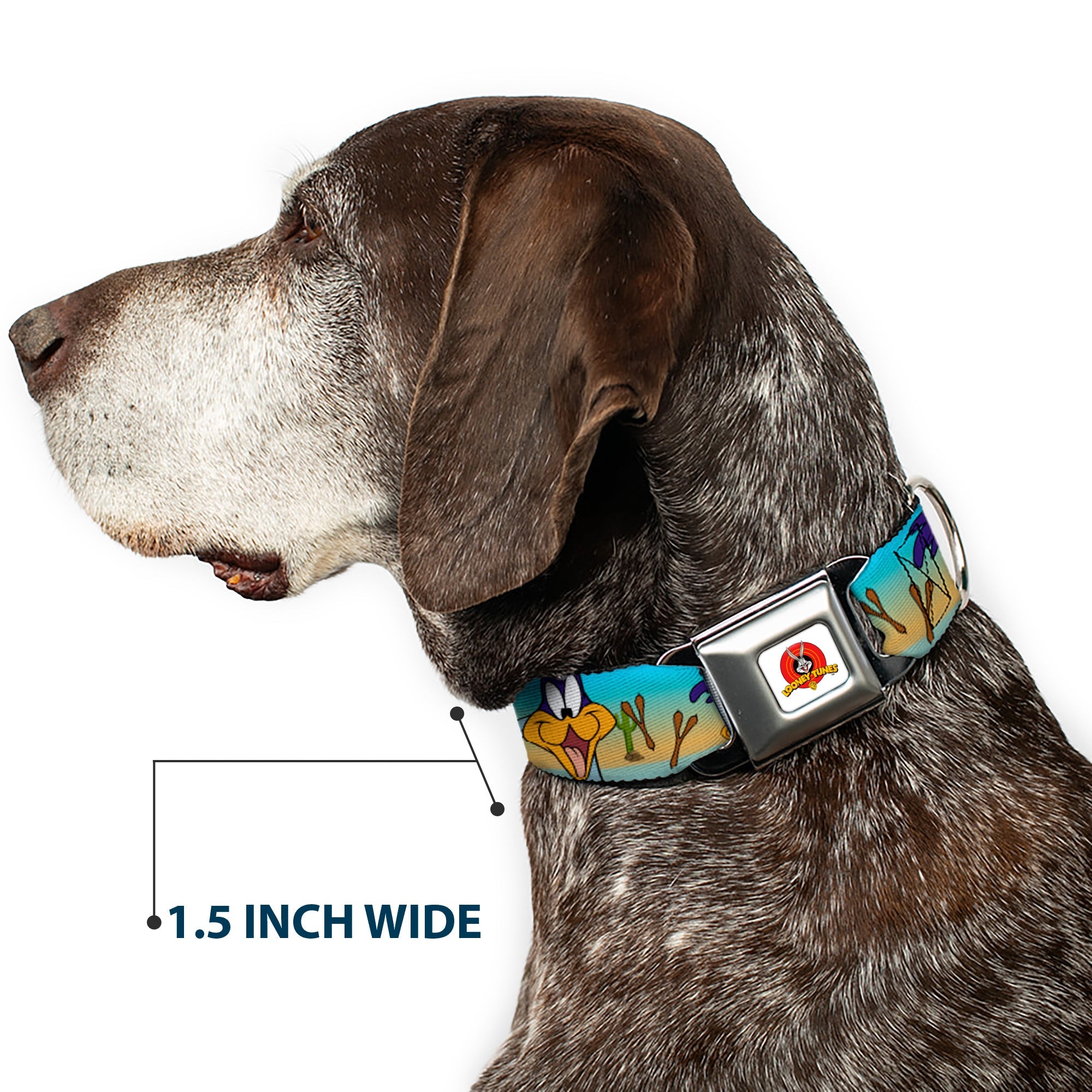 Looney Tunes Logo White Seatbelt Buckle Collar - Road Runner/Wile E. Coyote Scene1 Brown Fade
