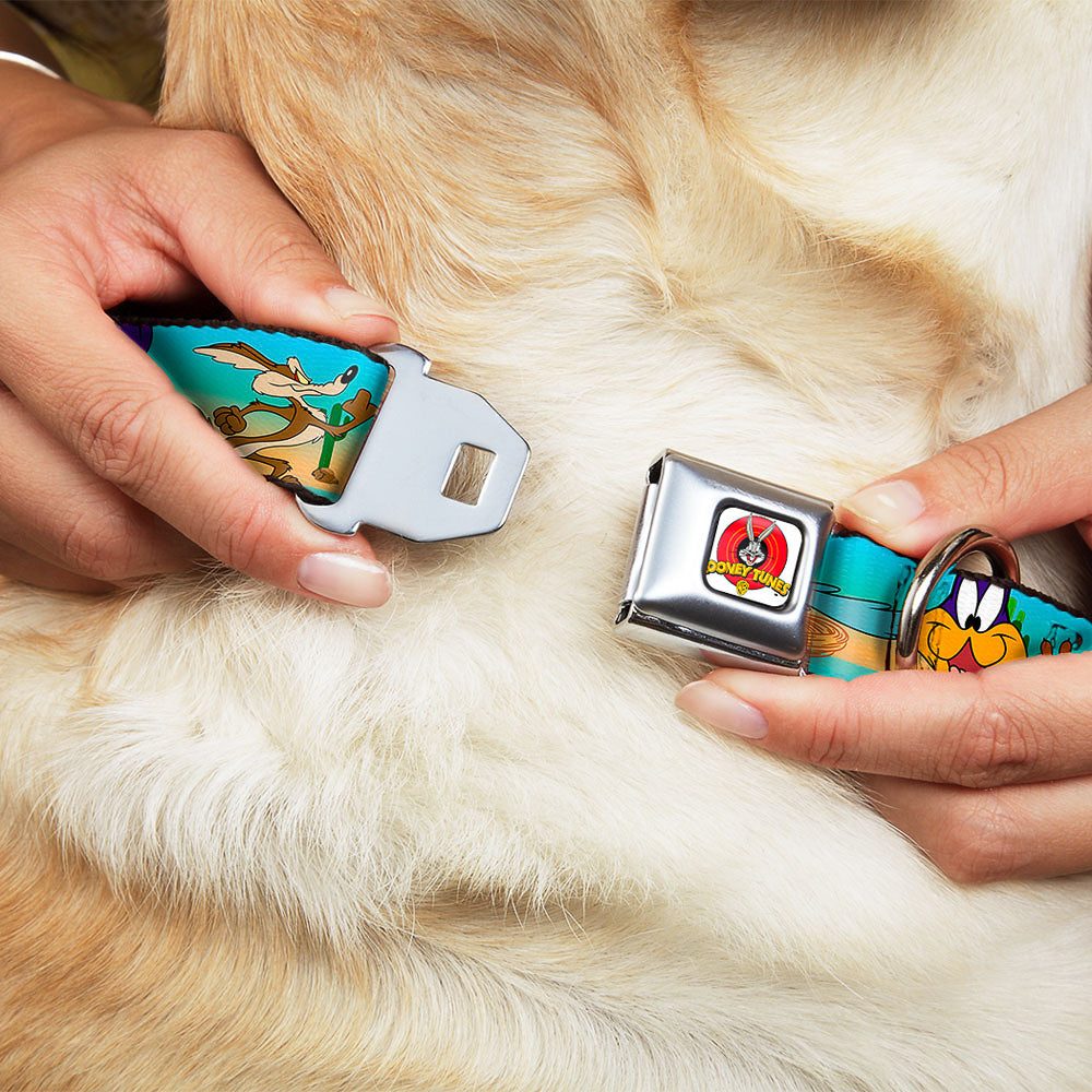 Looney Tunes Logo White Seatbelt Buckle Collar - Road Runner/Wile E. Coyote Scene1 Brown Fade