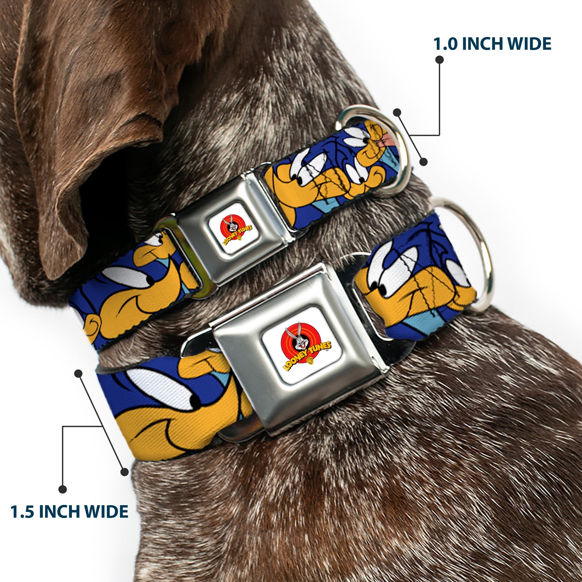 Looney Tunes Logo White Seatbelt Buckle Collar - Road Runner Expressions Stacked