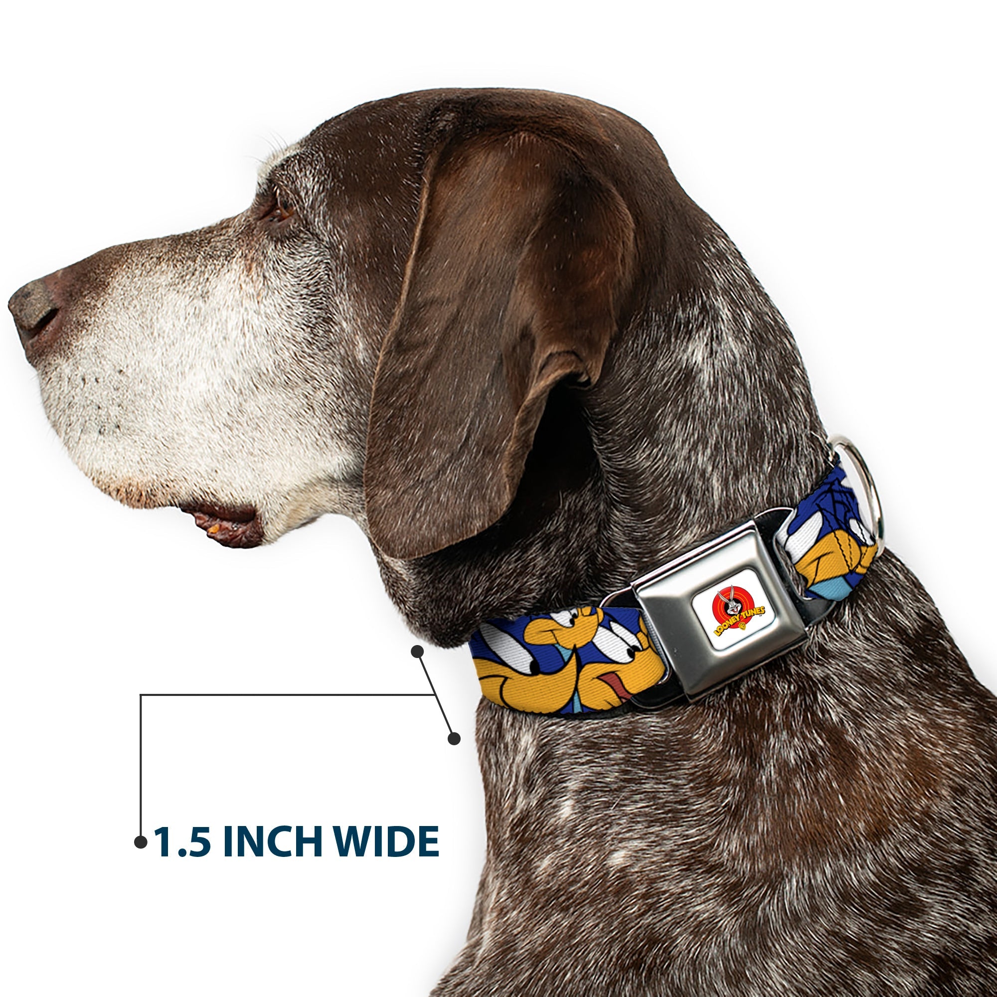 Looney Tunes Logo White Seatbelt Buckle Collar - Road Runner Expressions Stacked
