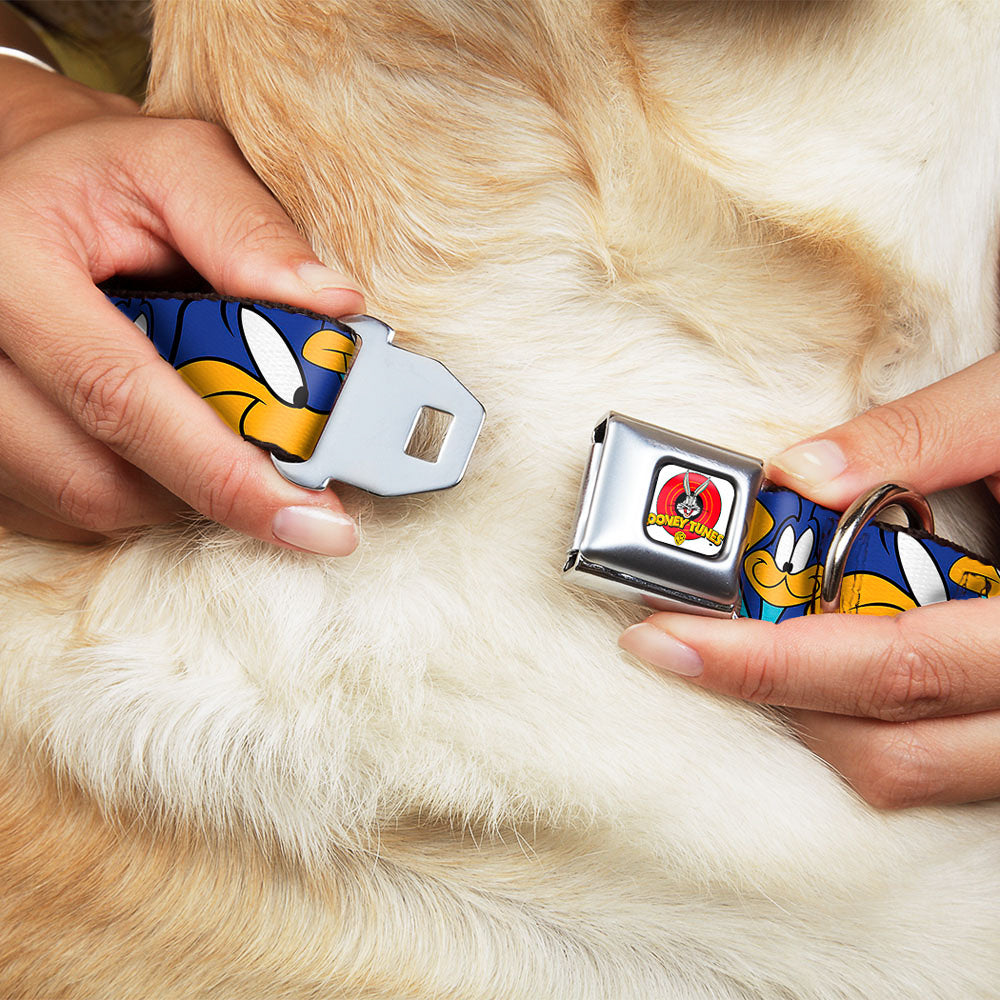 Looney Tunes Logo White Seatbelt Buckle Collar - Road Runner Expressions Stacked