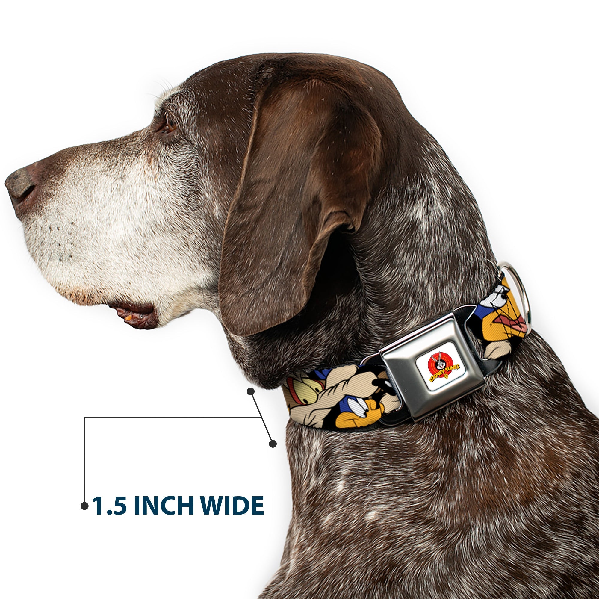 Looney Tunes Logo White Seatbelt Buckle Collar - Road Runner/Wile E. Coyote Expressions Stacked Black