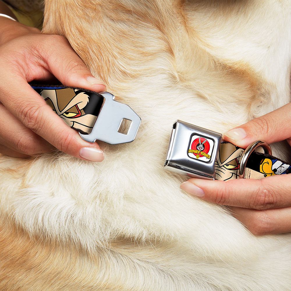 Looney Tunes Logo White Seatbelt Buckle Collar - Road Runner/Wile E. Coyote Expressions Stacked Black