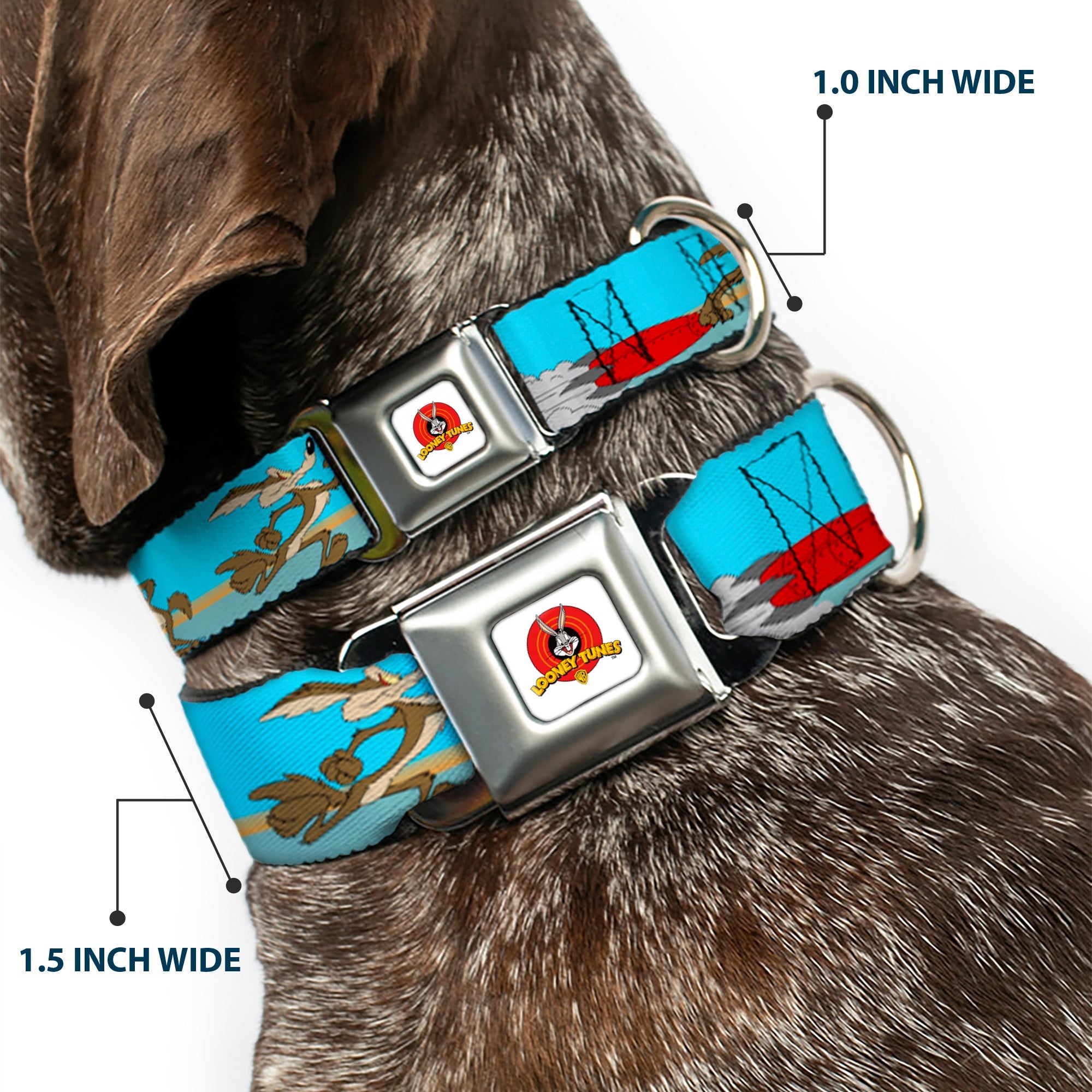 Looney Tunes Logo White Seatbelt Buckle Collar - Road Runner/Wile E. Coyote Scene2 Desert