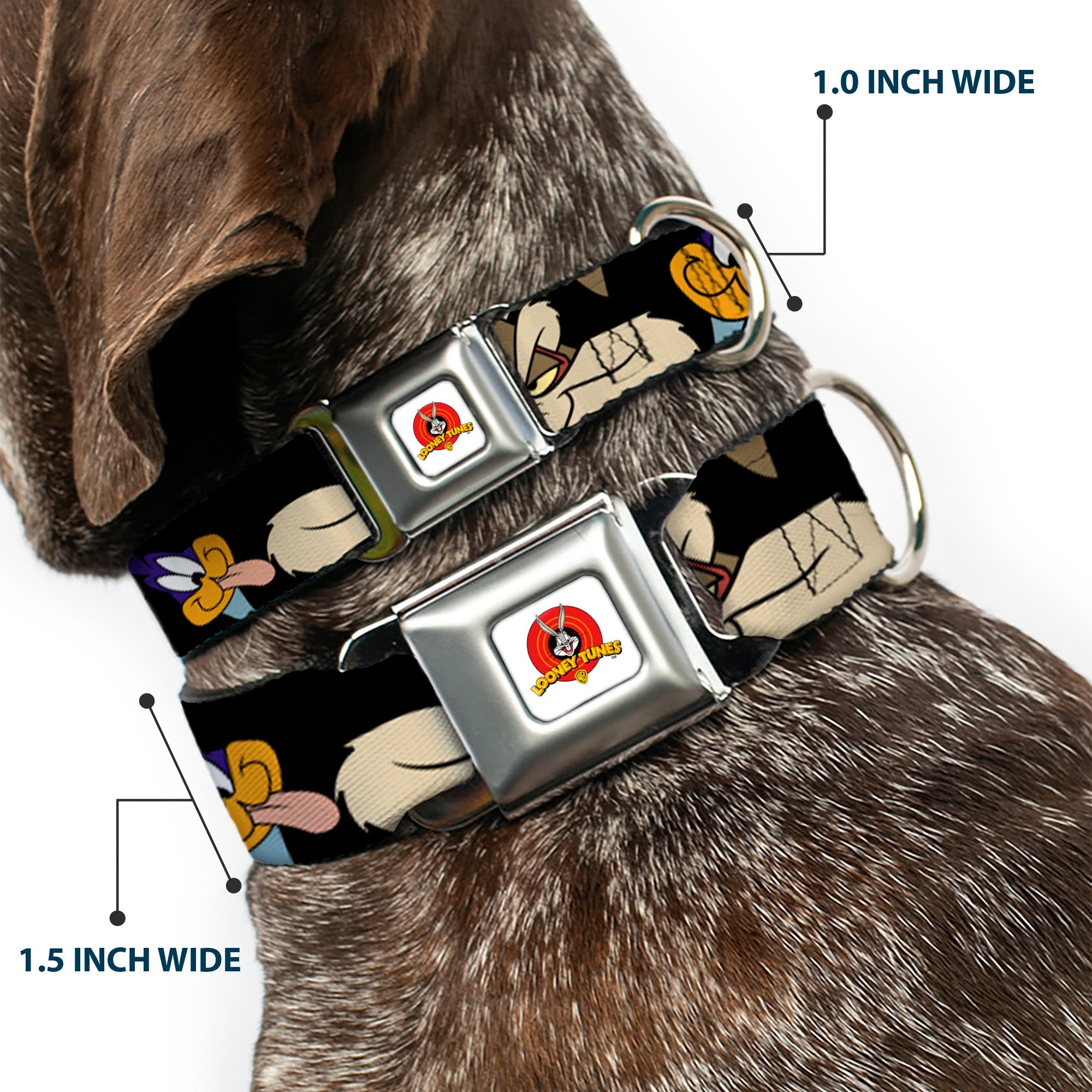 Looney Tunes Logo White Seatbelt Buckle Collar - Road Runner/Wile E. Coyote Expressions CLOSE-UP Black