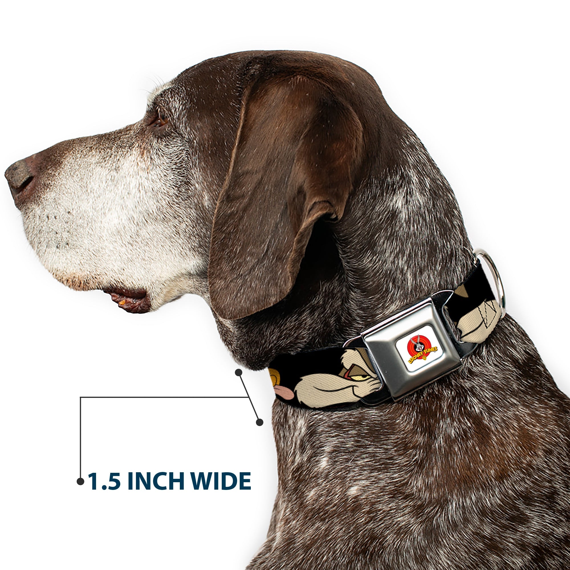 Looney Tunes Logo White Seatbelt Buckle Collar - Road Runner/Wile E. Coyote Expressions CLOSE-UP Black