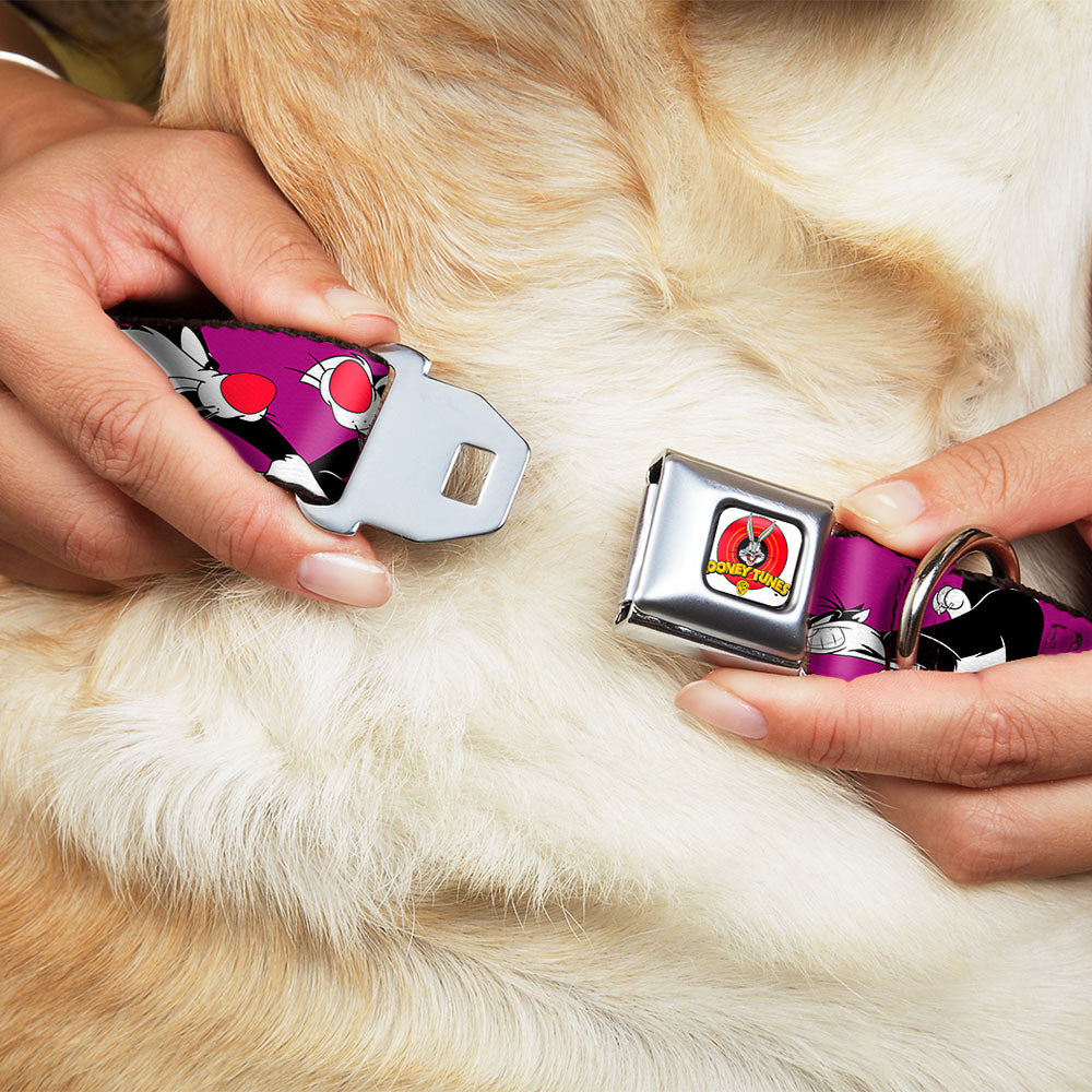 Looney Tunes Logo Full Color White Seatbelt Buckle Collar - Sylvester the Cat Poses Purple