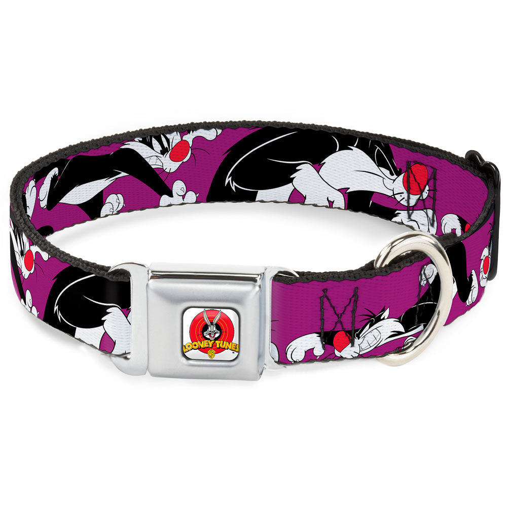 Looney Tunes Logo Full Color White Seatbelt Buckle Collar - Sylvester the Cat Poses Purple