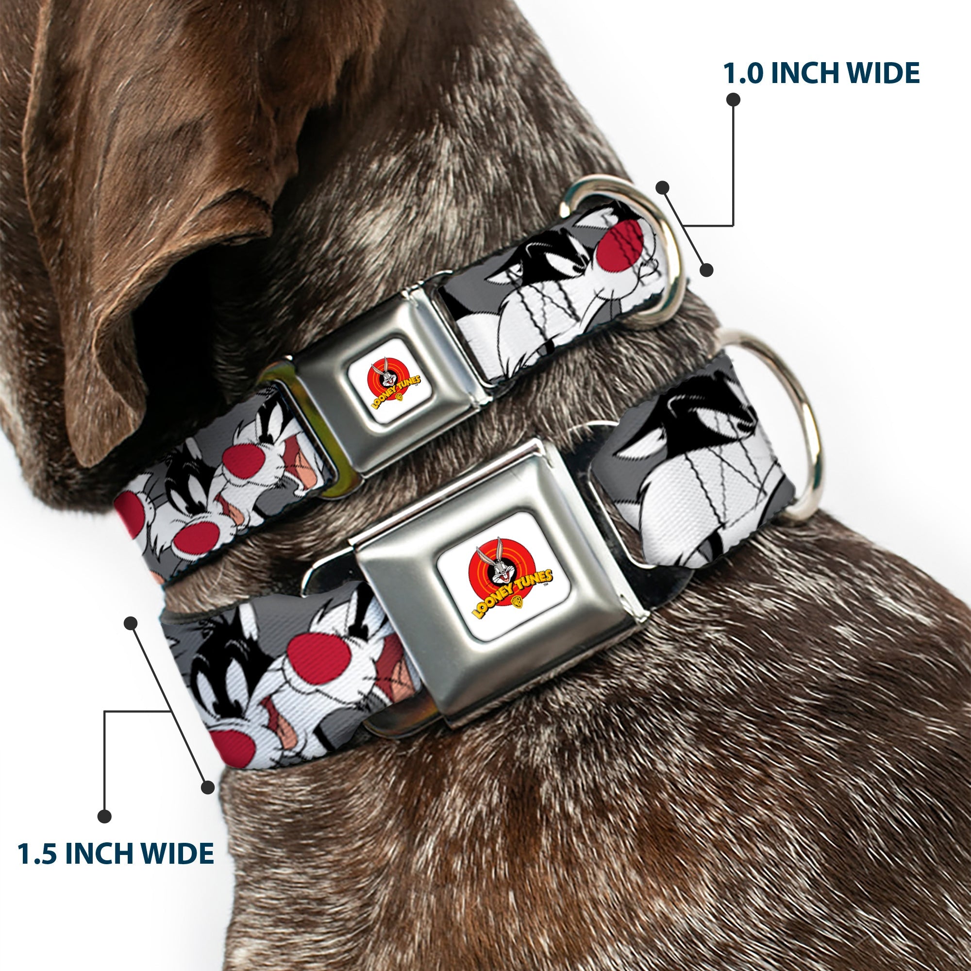 Looney Tunes Logo Full Color White Seatbelt Buckle Collar - Sylvester the Cat Expressions Gray