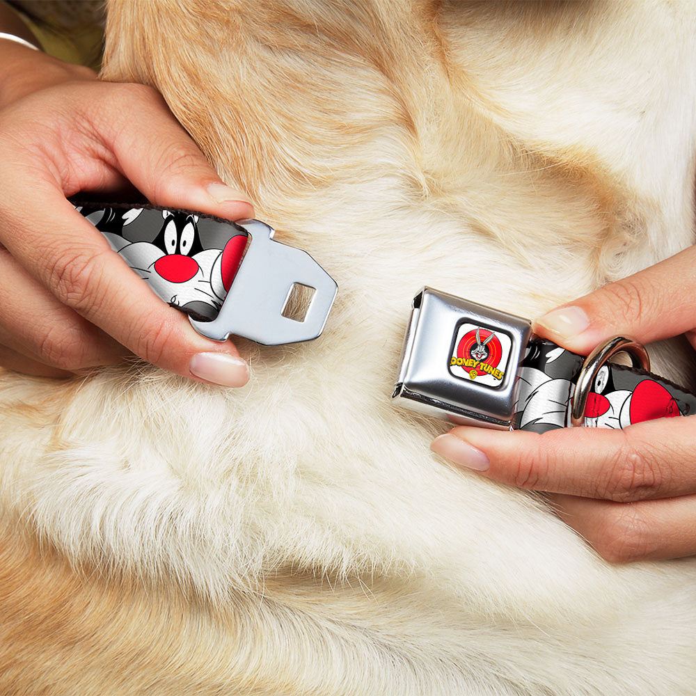Looney Tunes Logo Full Color White Seatbelt Buckle Collar - Sylvester the Cat Expressions Gray