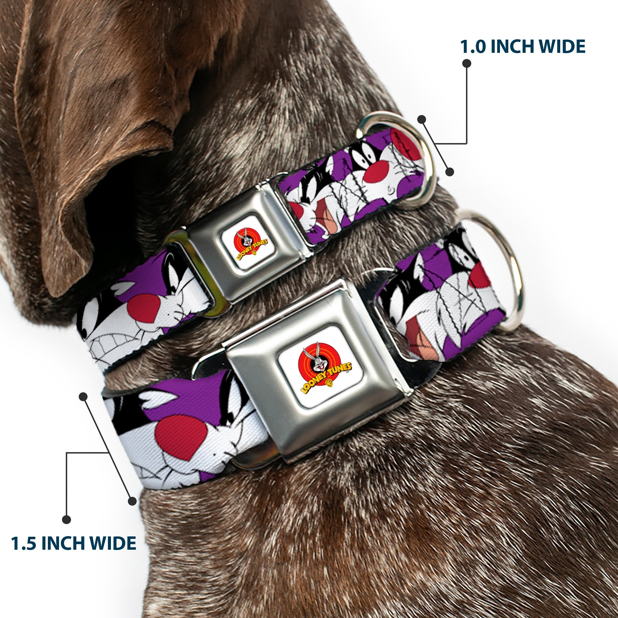 Looney Tunes Logo Full Color White Seatbelt Buckle Collar - Sylvester the Cat Expressions Purple