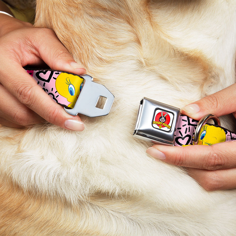 Looney Tunes Logo Full Color White Seatbelt Buckle Collar - Tweety Bird I LOVE YOU Pink/Black