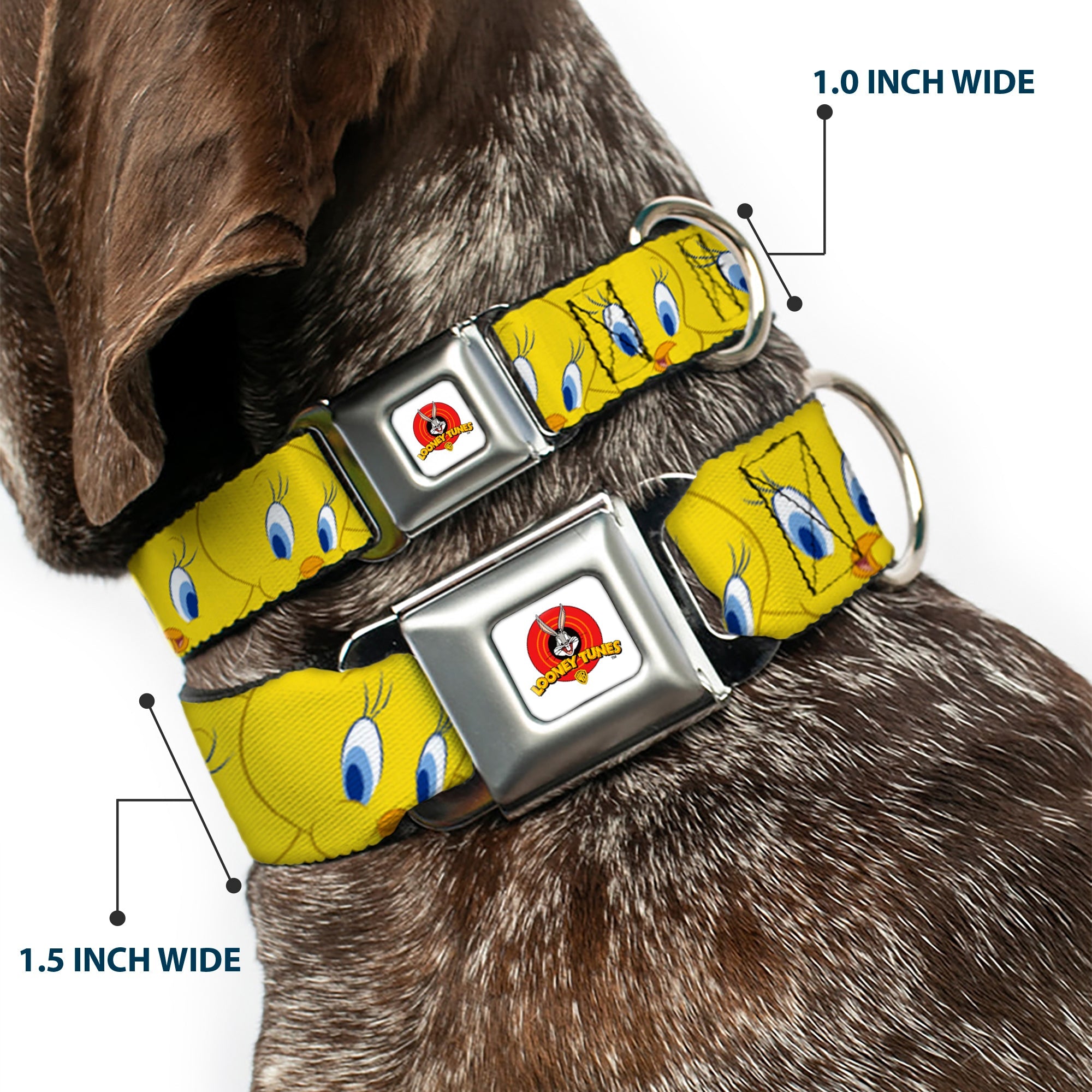 Looney Tunes Logo Full Color White Seatbelt Buckle Collar - Tweety Bird Expressions Yellow