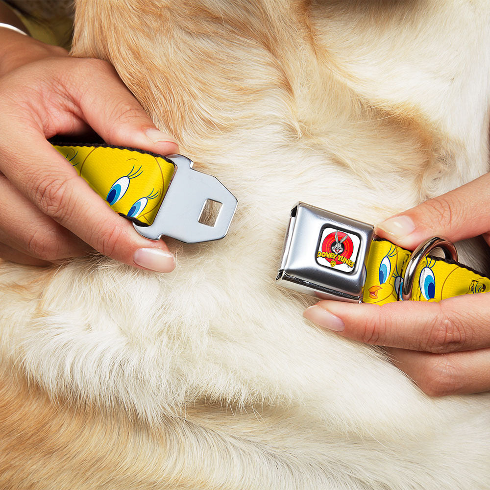Looney Tunes Logo Full Color White Seatbelt Buckle Collar - Tweety Bird Expressions Yellow