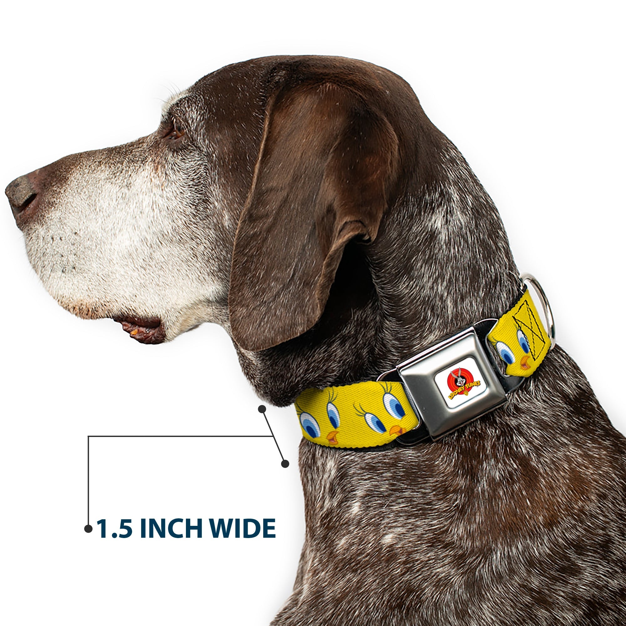 Looney Tunes Logo Full Color White Seatbelt Buckle Collar - Tweety Bird Expressions2