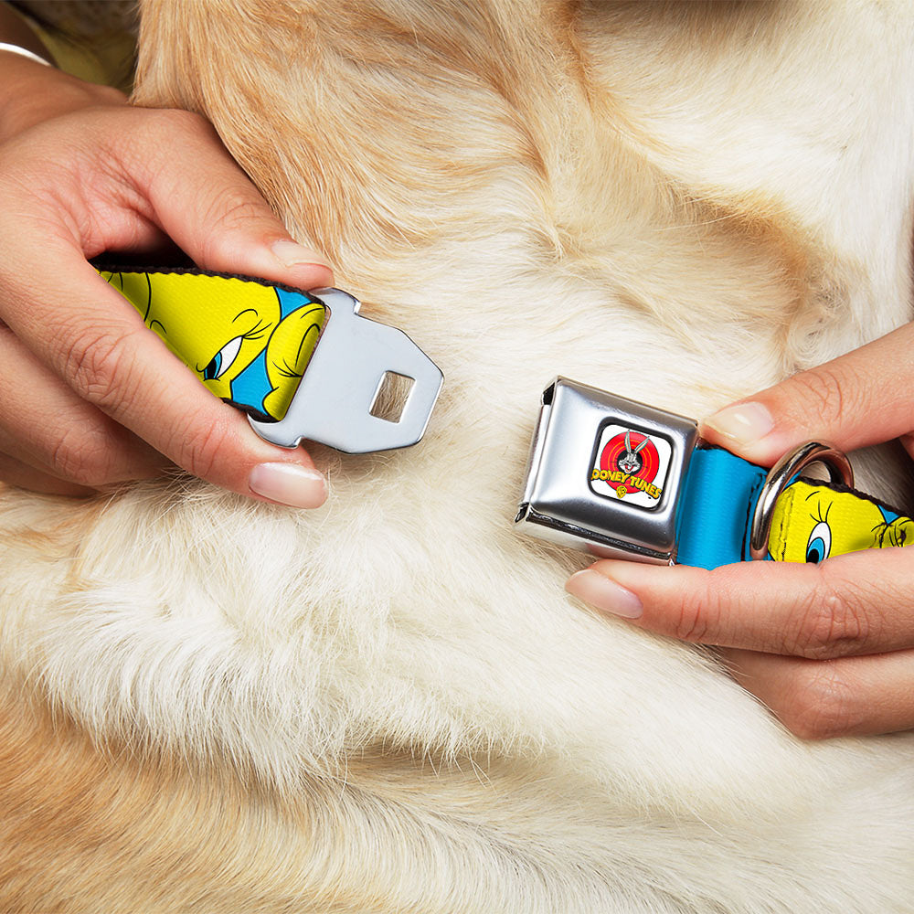 Looney Tunes Logo Full Color White Seatbelt Buckle Collar - Tweety Bird CLOSE-UP Expressions Baby Blue
