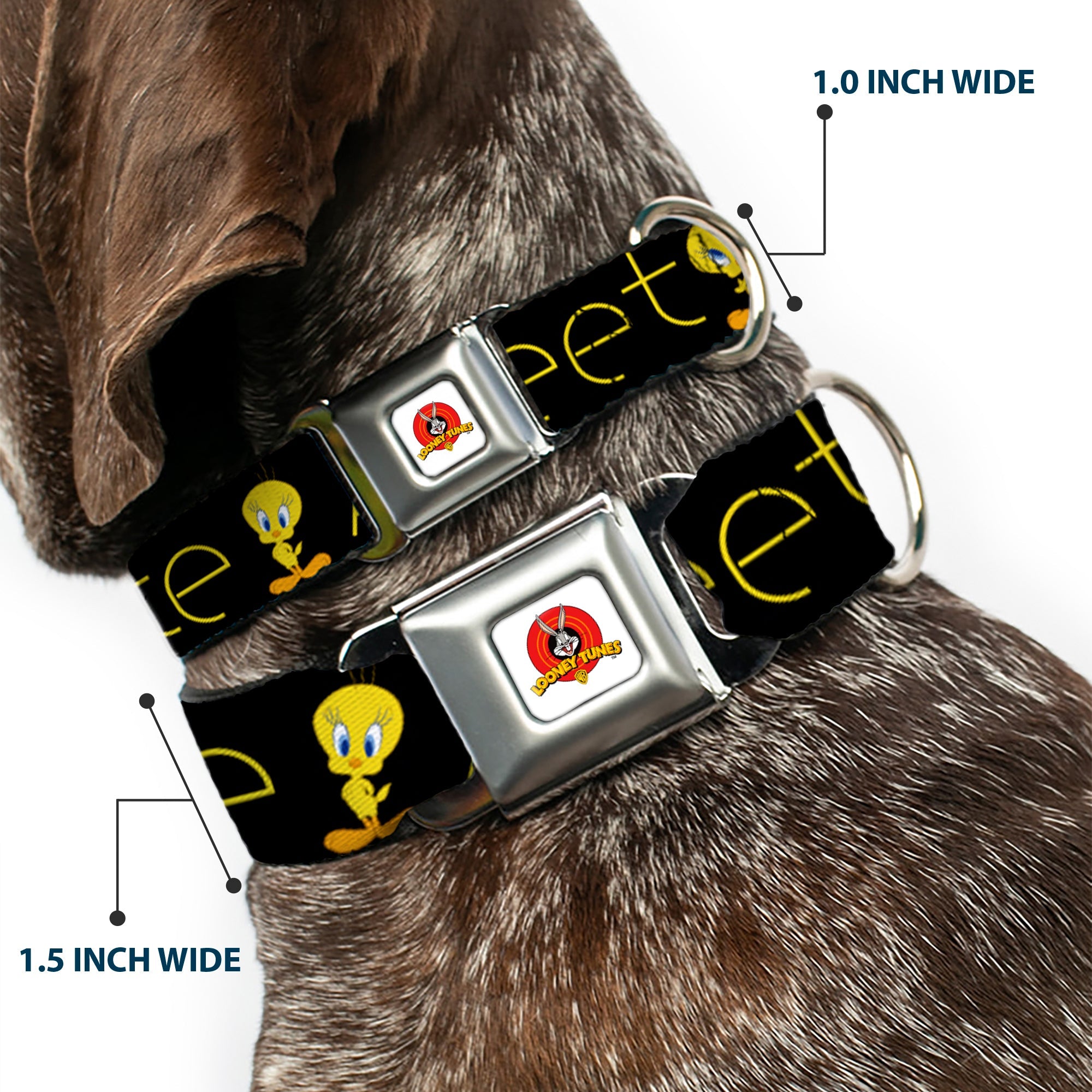 Looney Tunes Logo Full Color White Seatbelt Buckle Collar - Tweety Bird Poses CUTE AND SWEET Black/Yellow