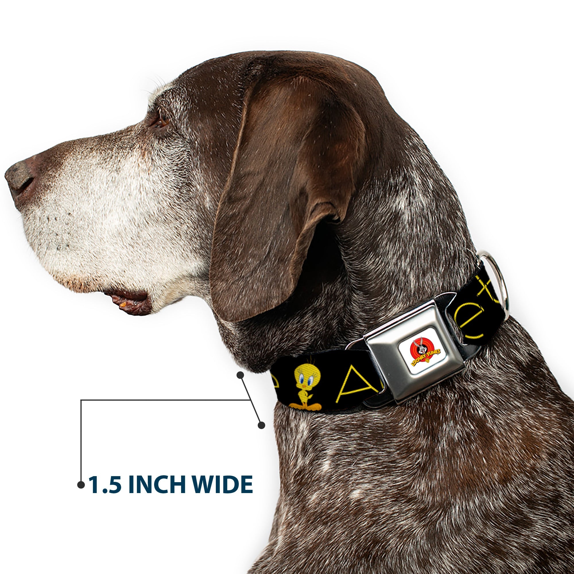 Looney Tunes Logo Full Color White Seatbelt Buckle Collar - Tweety Bird Poses CUTE AND SWEET Black/Yellow