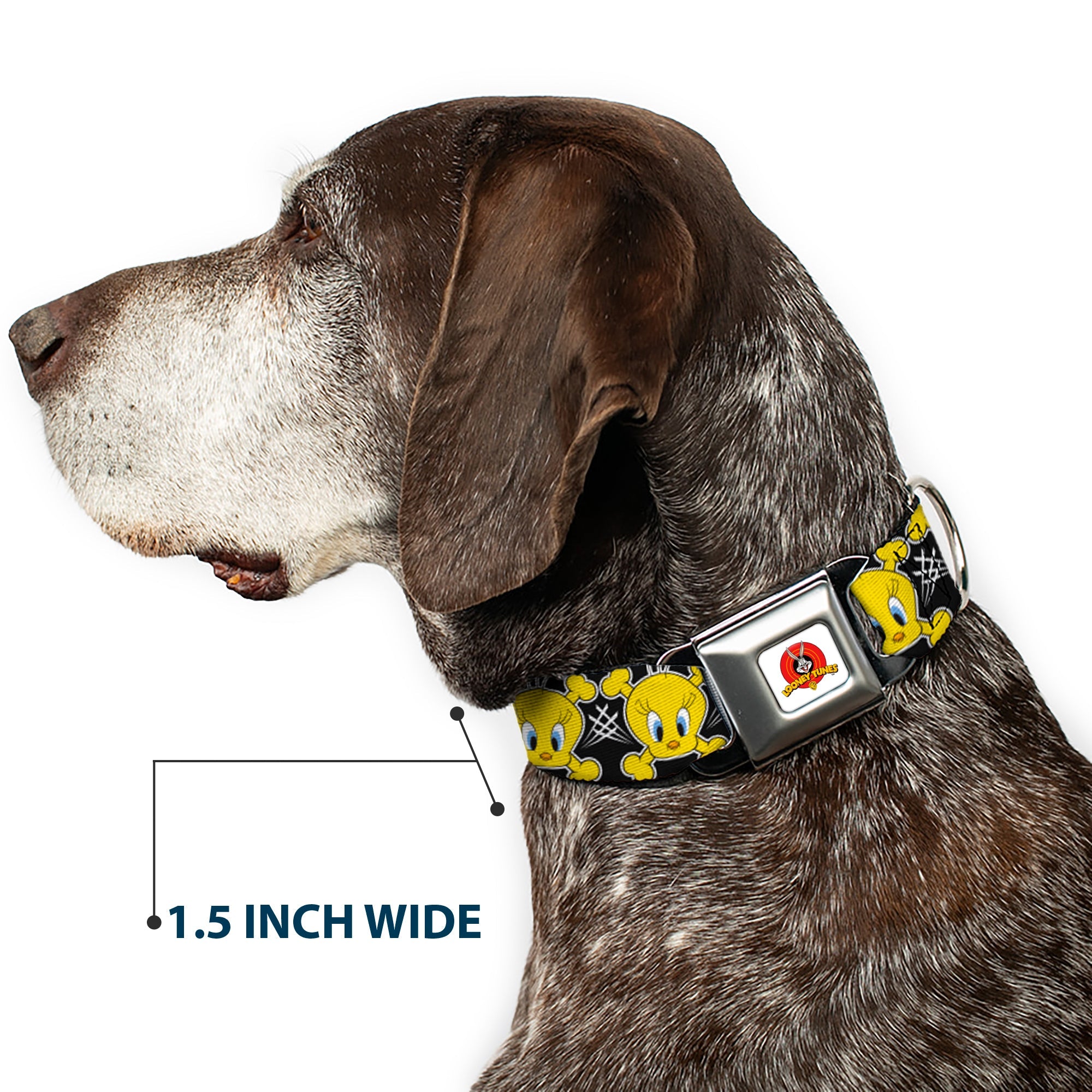 Looney Tunes Logo Full Color White Seatbelt Buckle Collar - Tweety Bird & Crossbones Black/White/Yellow