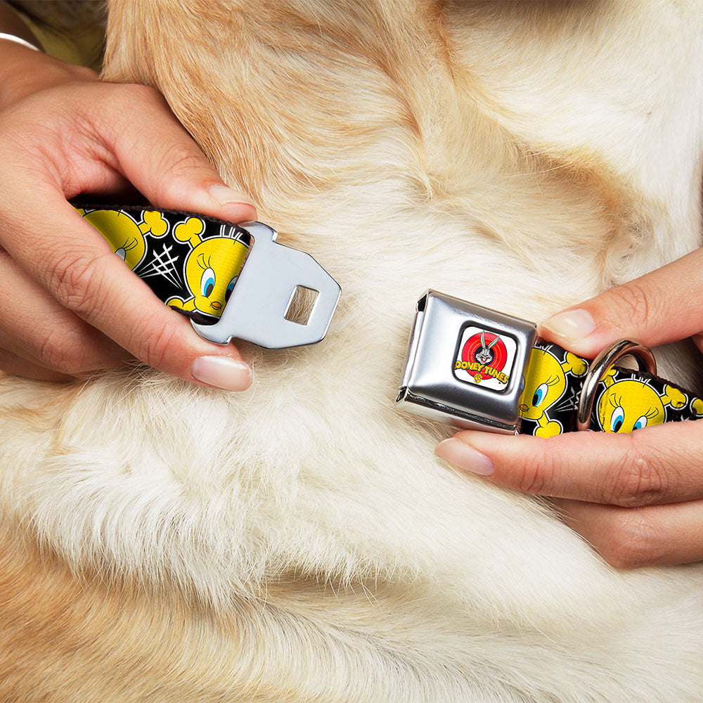 Looney Tunes Logo Full Color White Seatbelt Buckle Collar - Tweety Bird & Crossbones Black/White/Yellow