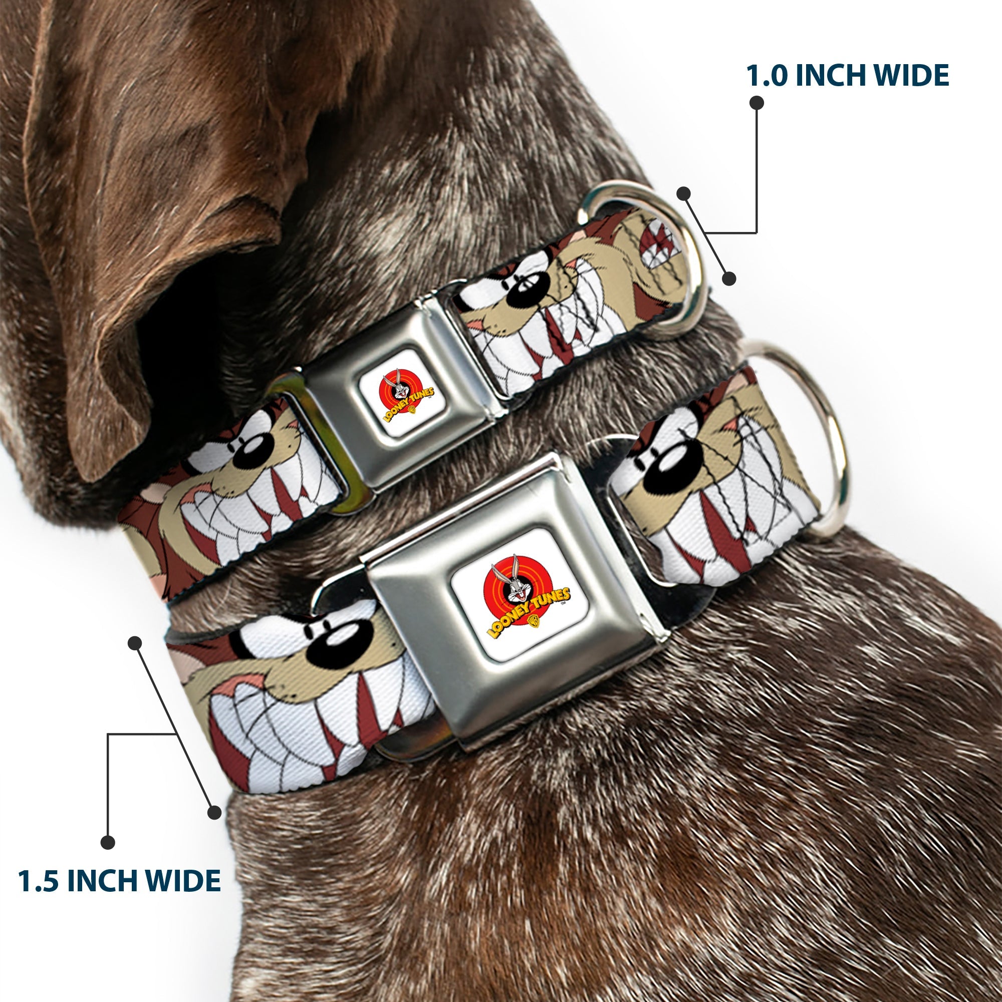 Looney Tunes Logo Full Color White Seatbelt Buckle Collar - Tasmanian Devil Expressions Brown
