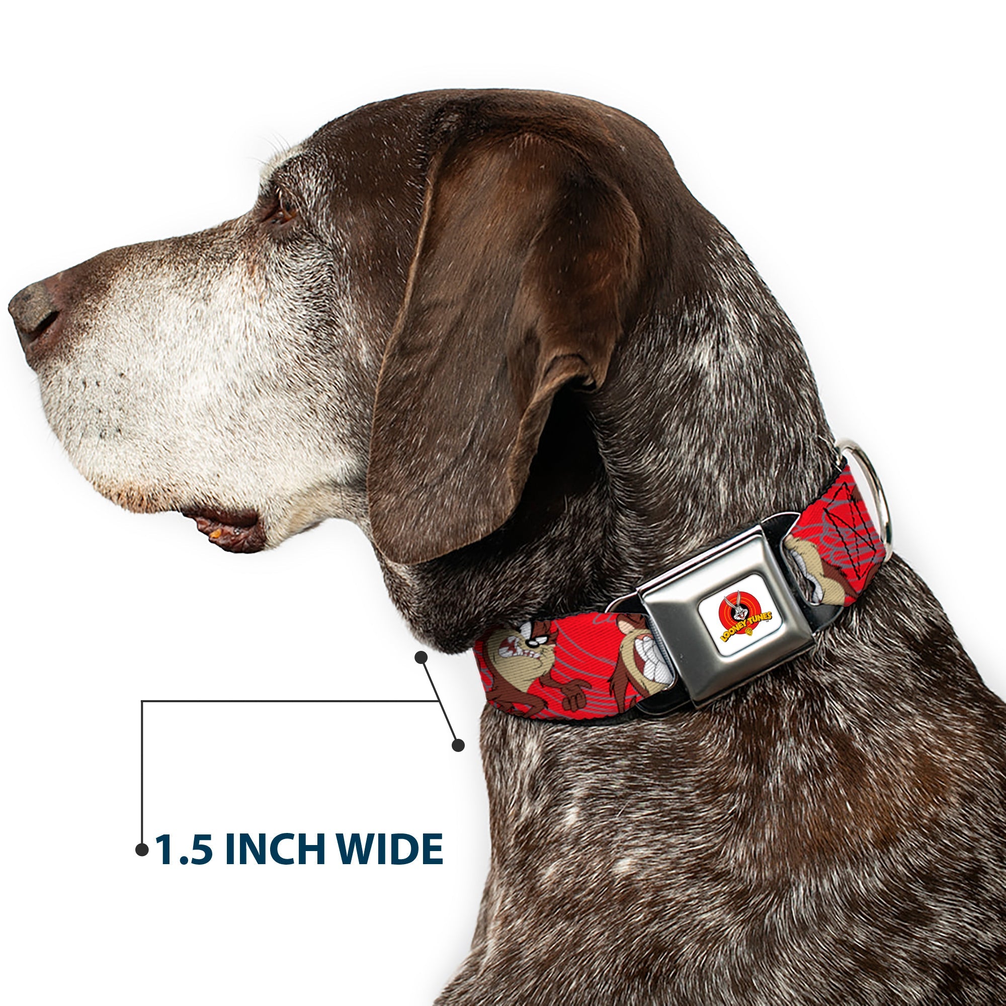 Looney Tunes Logo Full Color White Seatbelt Buckle Collar - Tasmanian Devil Expressions Red Swirl