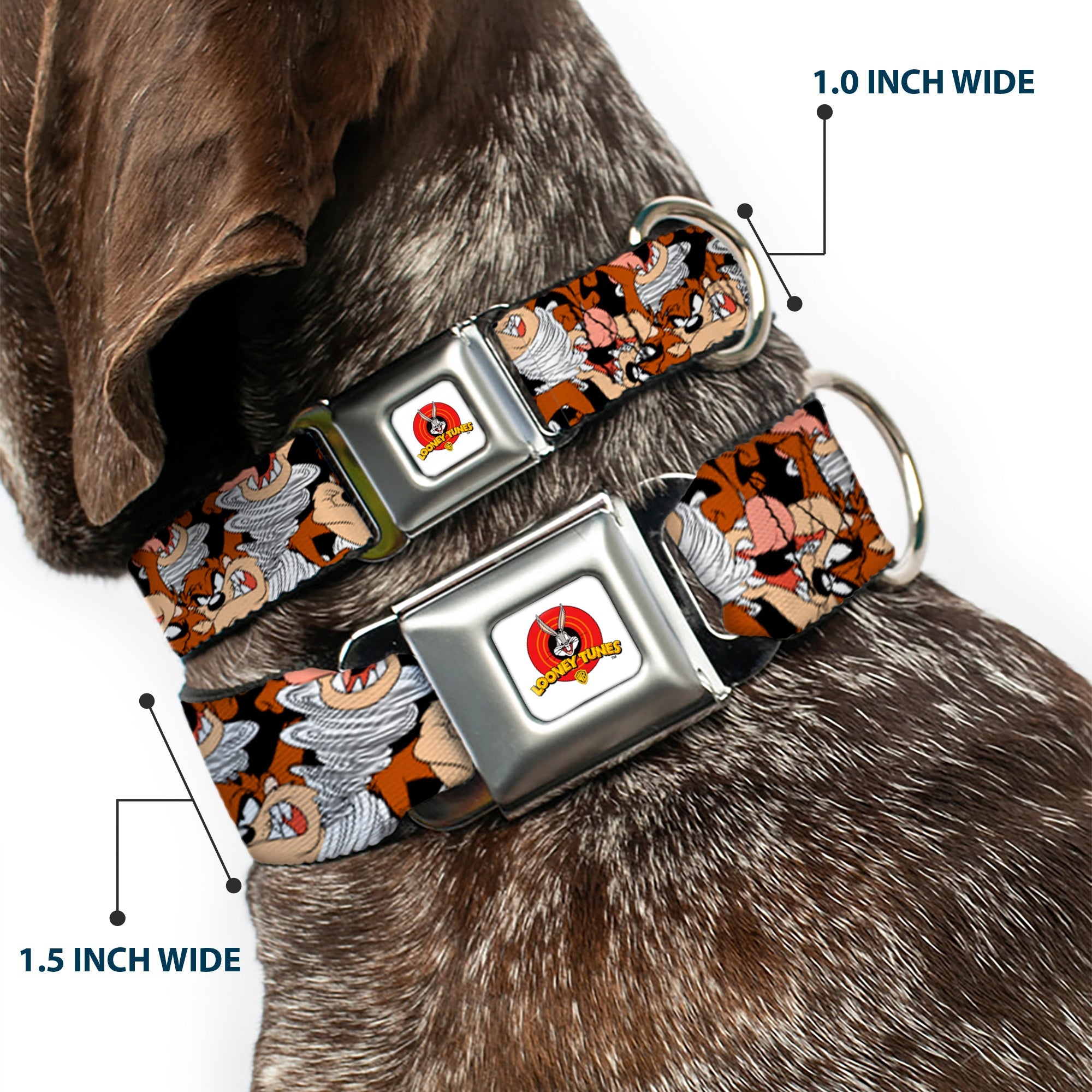 Looney Tunes Logo White Seatbelt Buckle Collar - Tasmanian Devil Vortex Poses Stacked Black