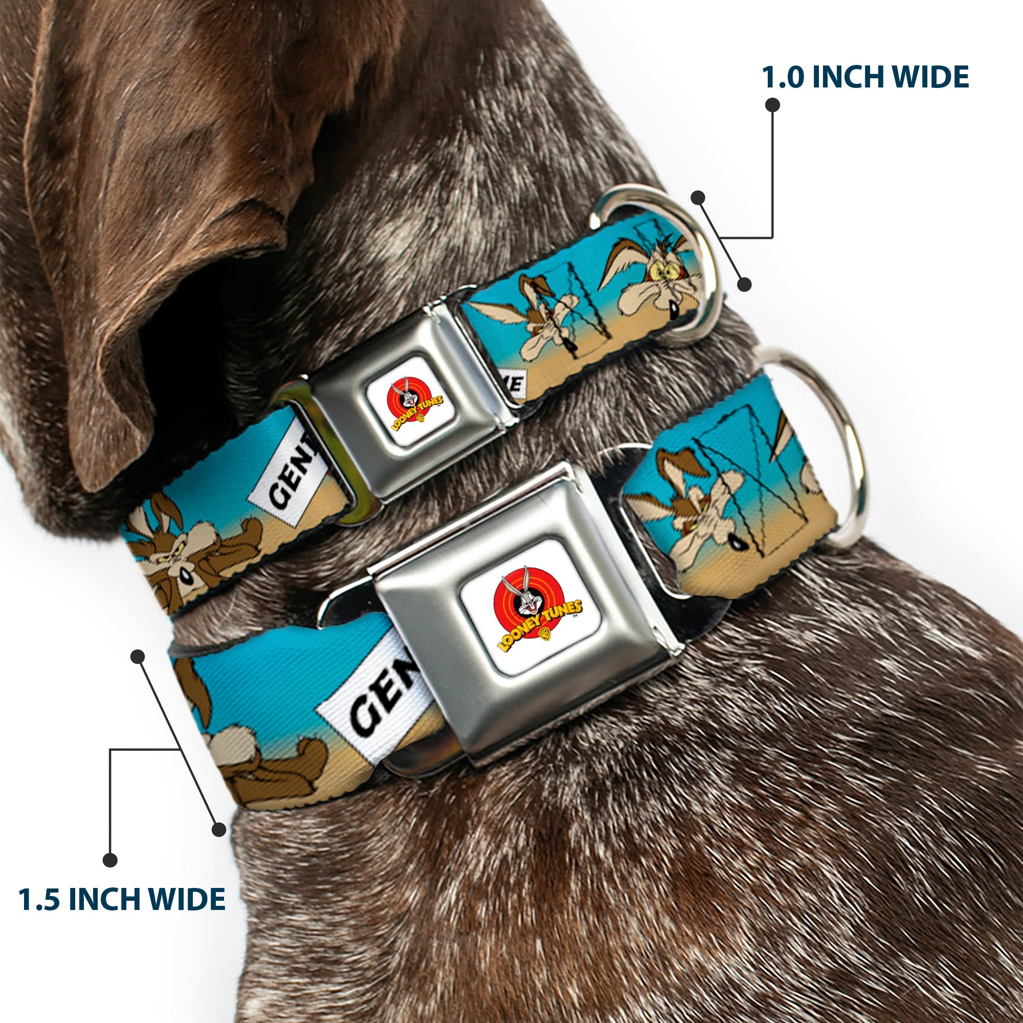 Looney Tunes Logo Full Color White Seatbelt Buckle Collar - WILE E. COYOTE Expressions/Signs Desert