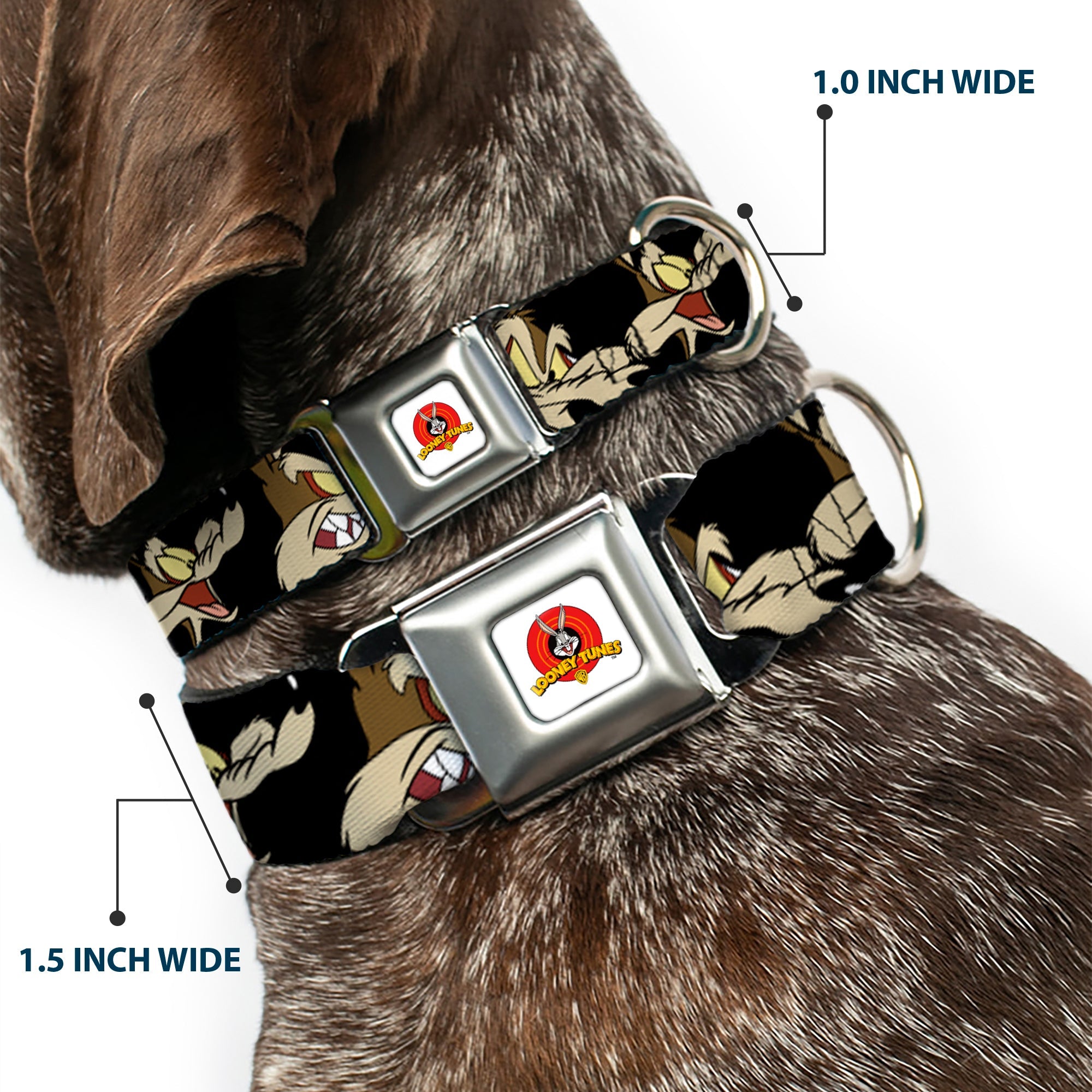Looney Tunes Logo Full Color White Seatbelt Buckle Collar - Wile E. Coyote Expressions Black