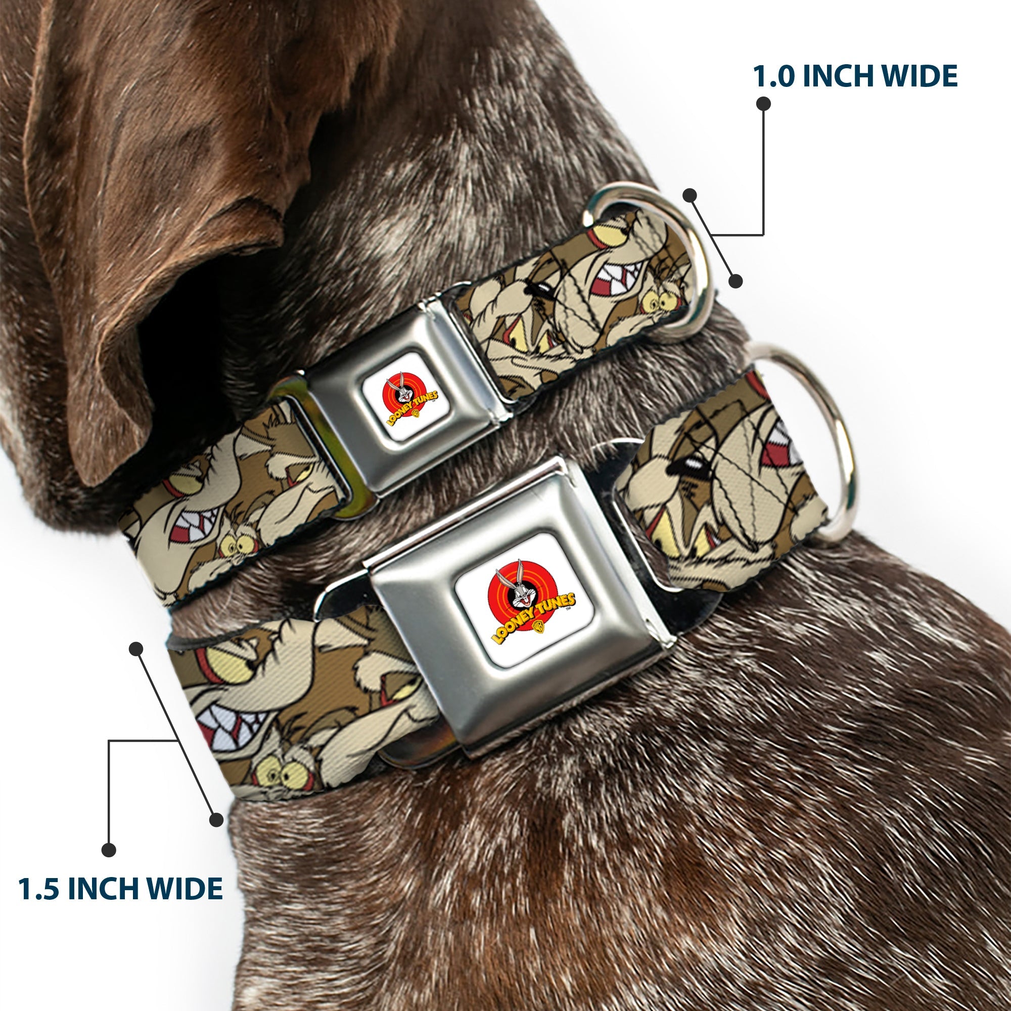 Looney Tunes Logo Full Color White Seatbelt Buckle Collar - Wile E. Coyote Expressions Stacked